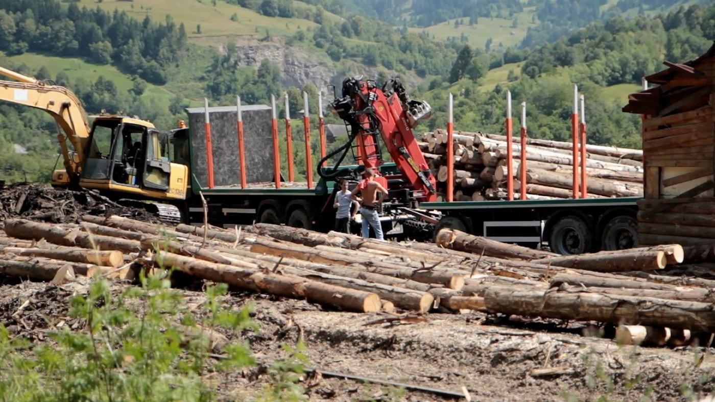 Wood 2022 movie scene
