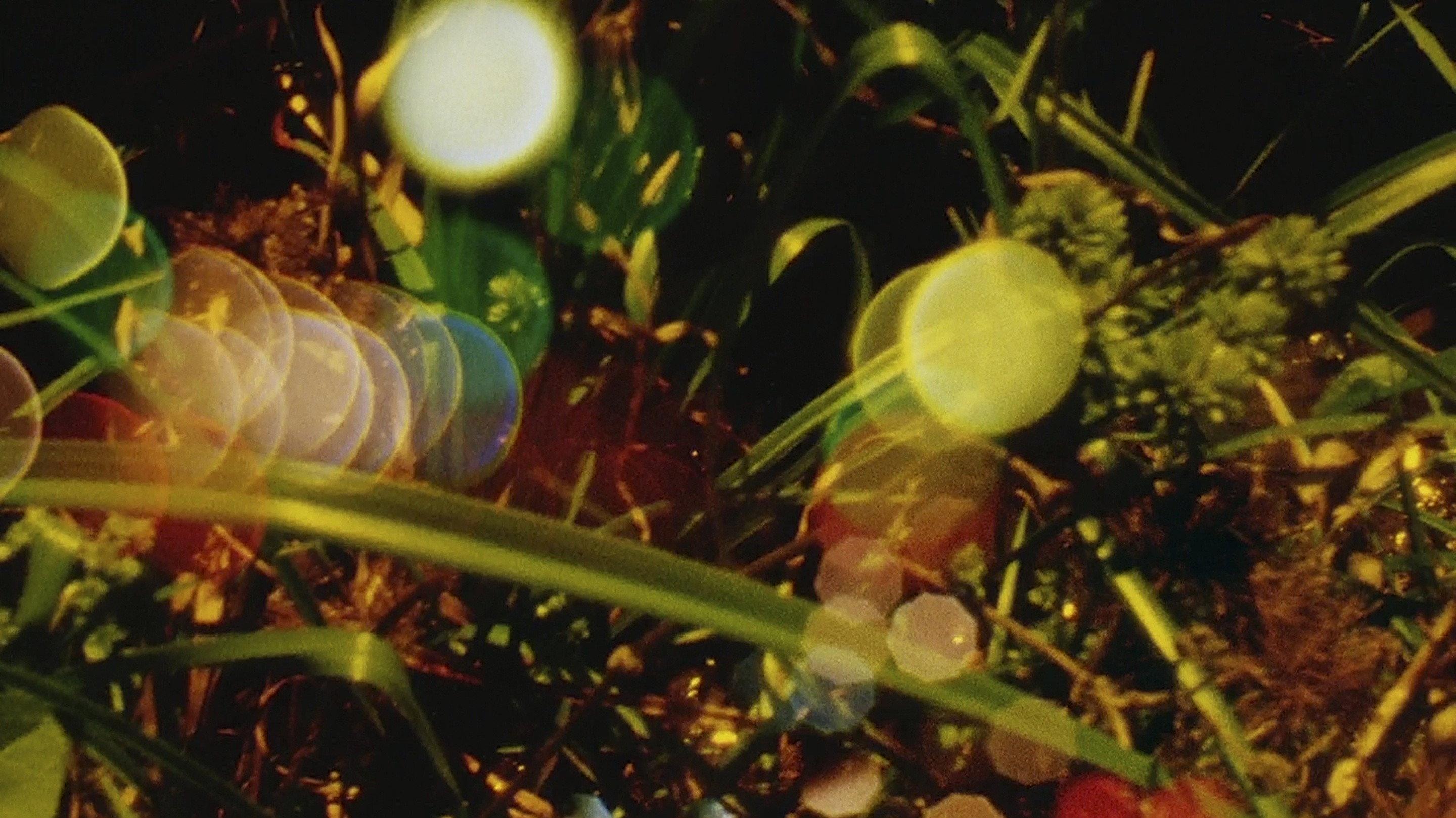 Words of Mercury 2011 movie scene