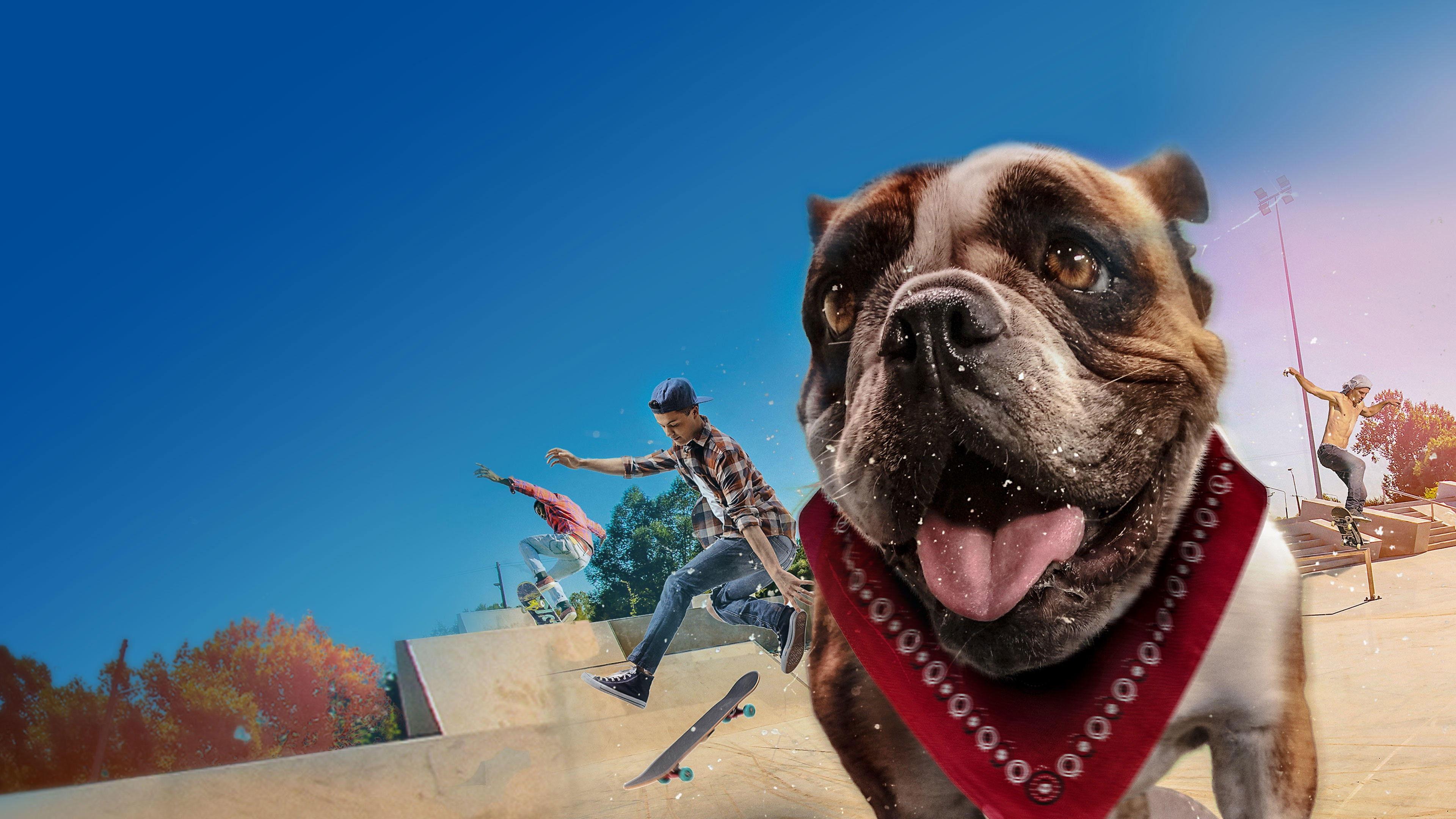Sk8 Dawg 2018 movie scene