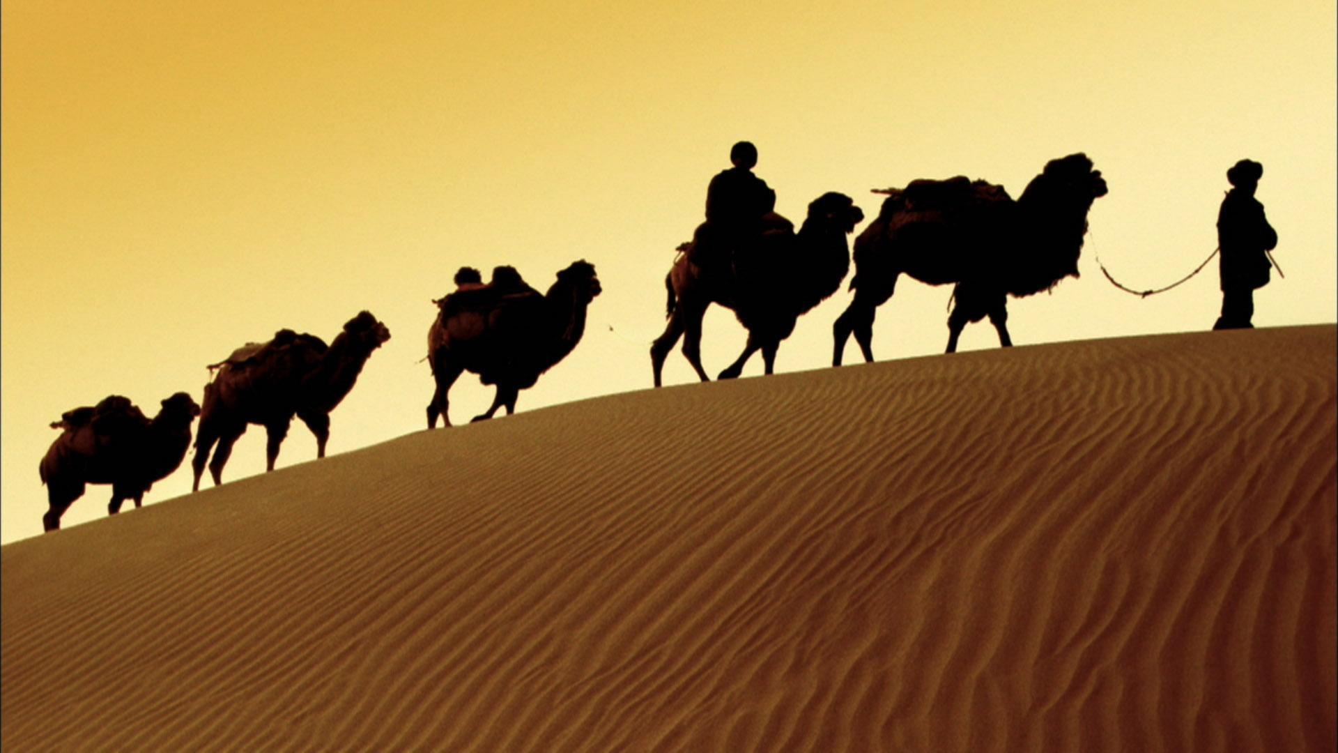 In the Footsteps of Marco Polo 2008 movie scene