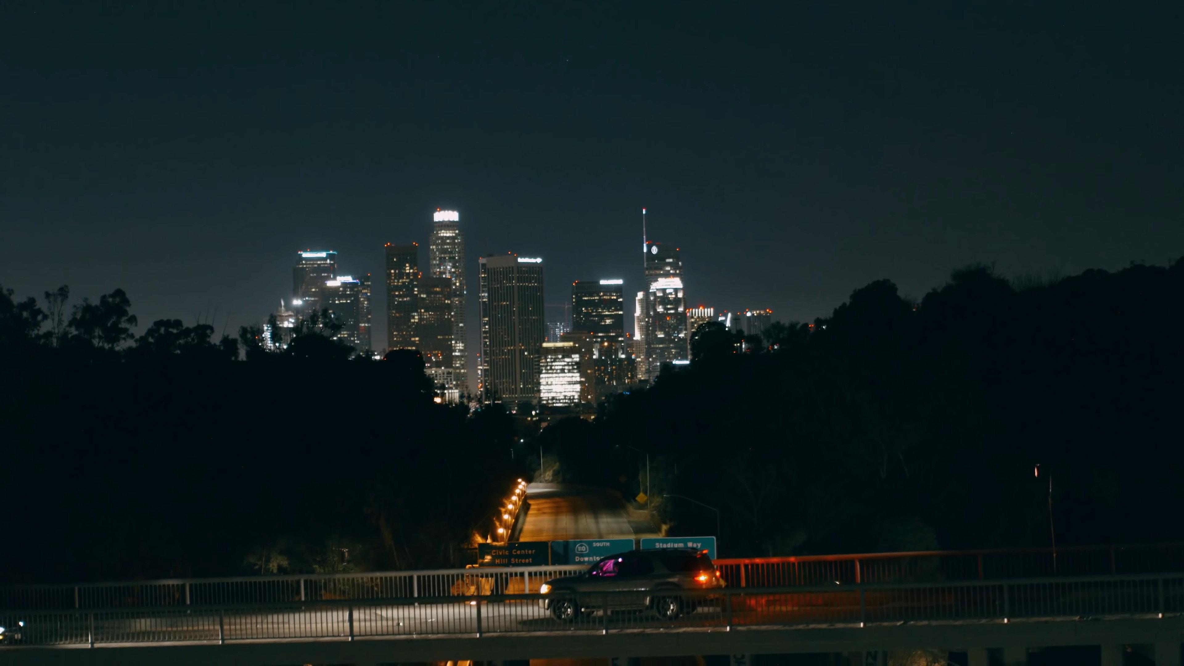 Anamorphia II 2021 movie scene
