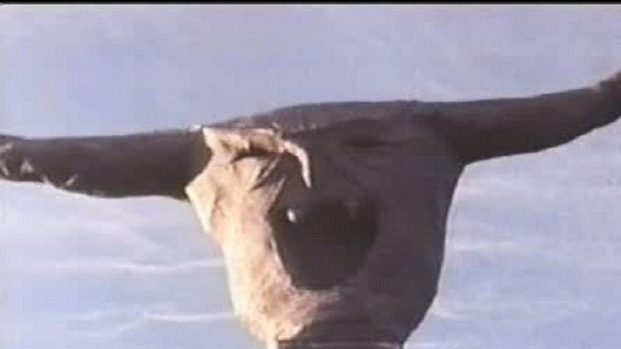 The Final Sacrifice 1990 movie scene
