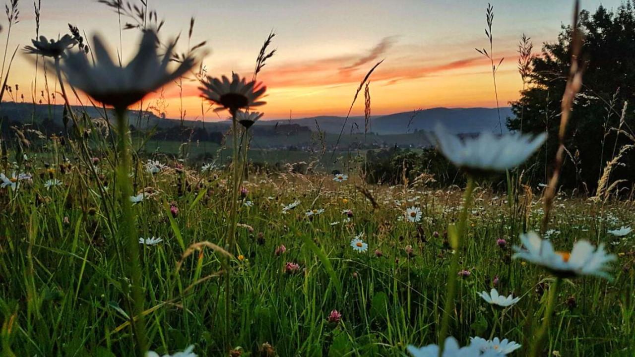 Die Wiese: Ein Paradies nebenan 2019 movie scene