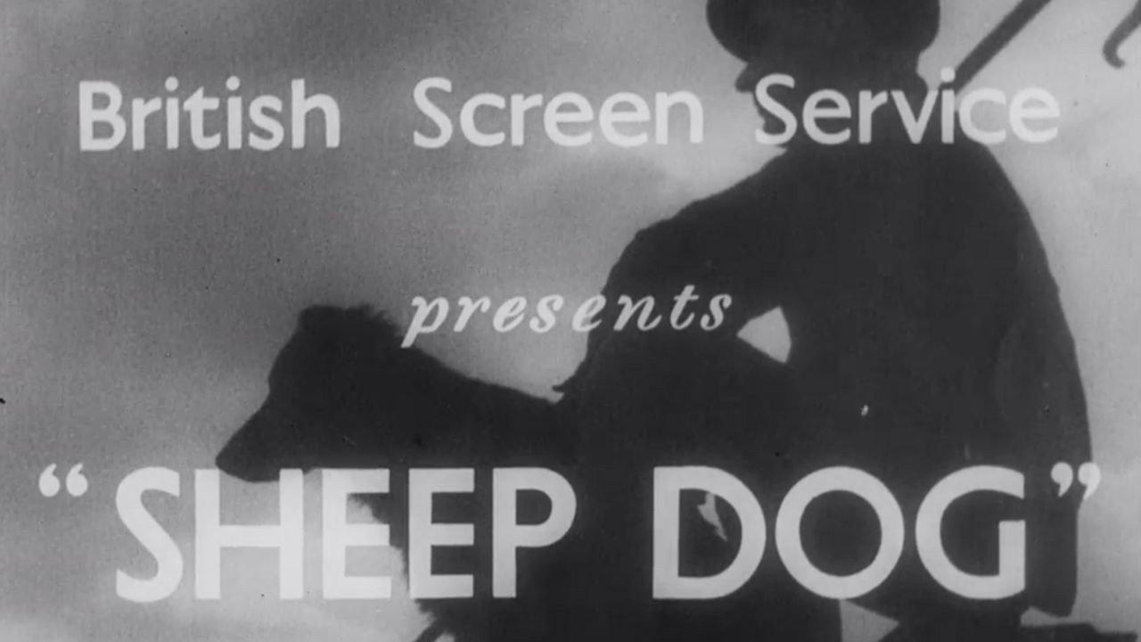 Sheep Dog 1939 movie scene