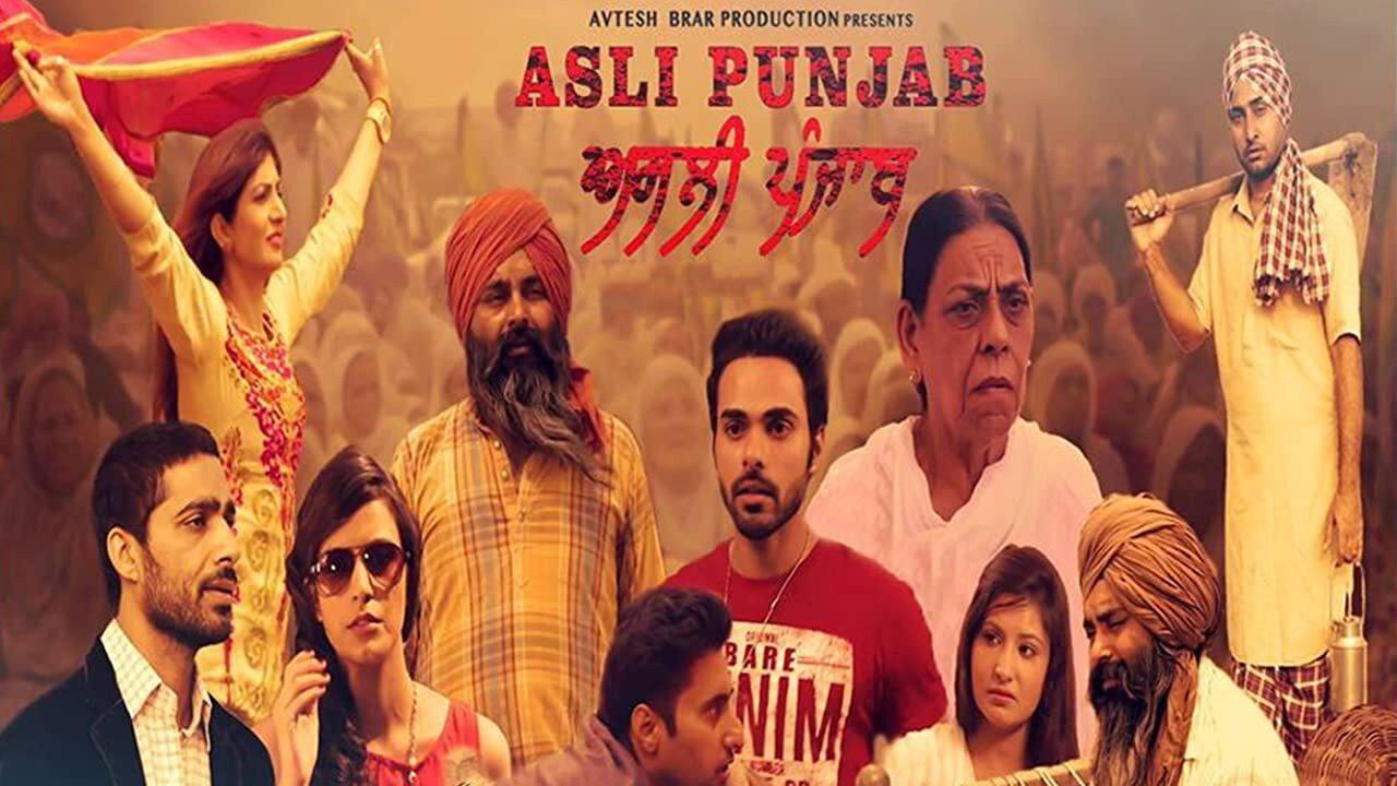 Asli Punjab 2017 movie scene