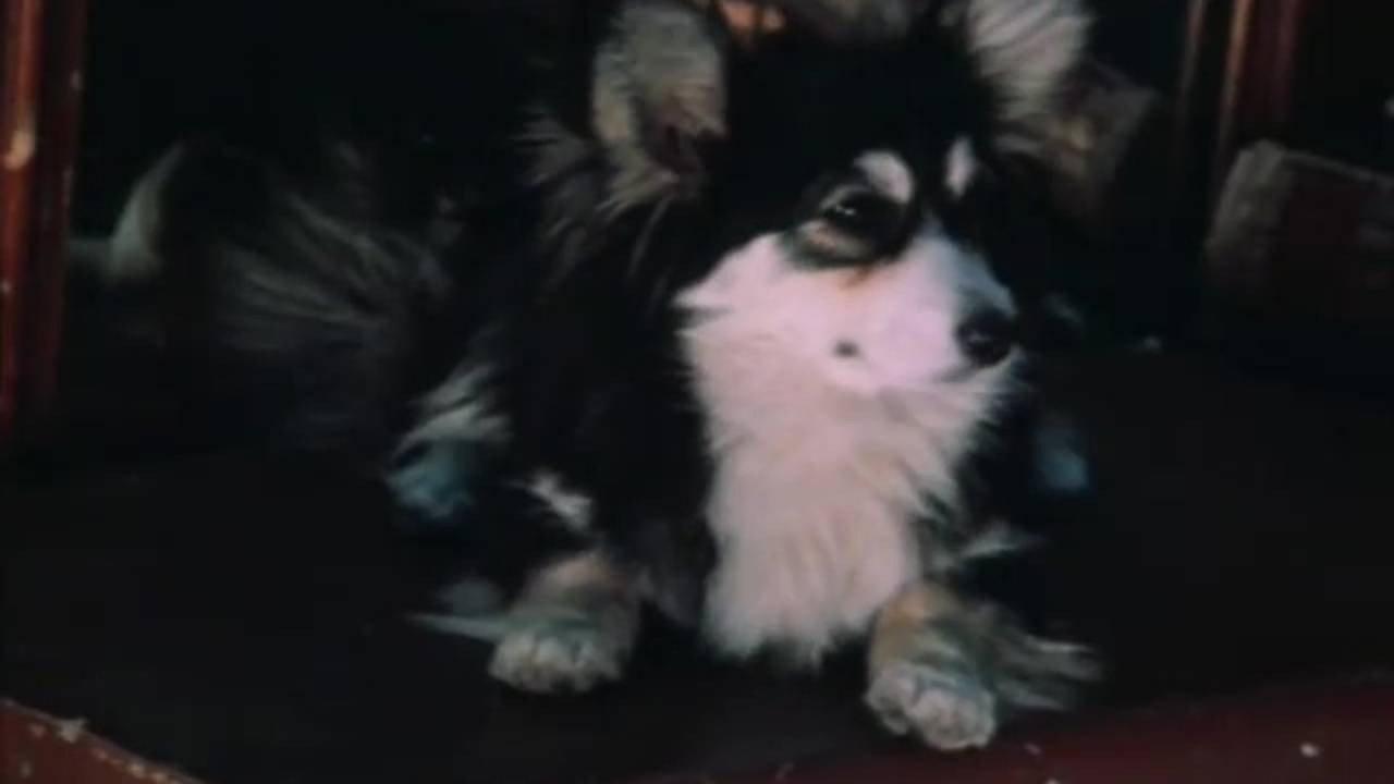 Trainers 1987 movie scene