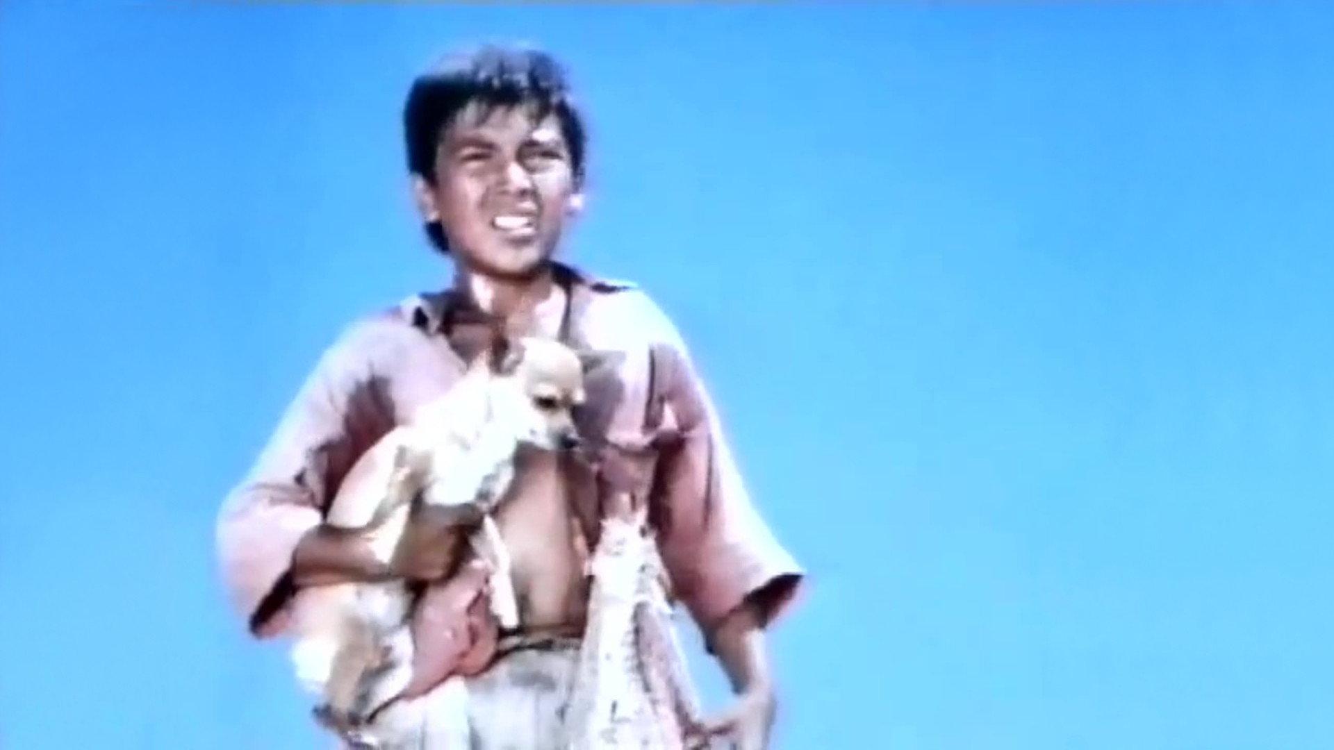 Pablo and the Dancing Chihuahua 1968 movie scene