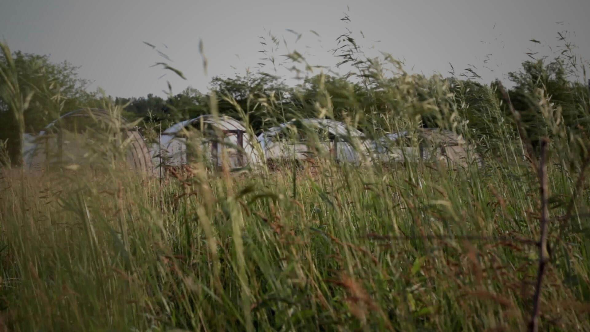 Heartland Local Food 2020 movie scene