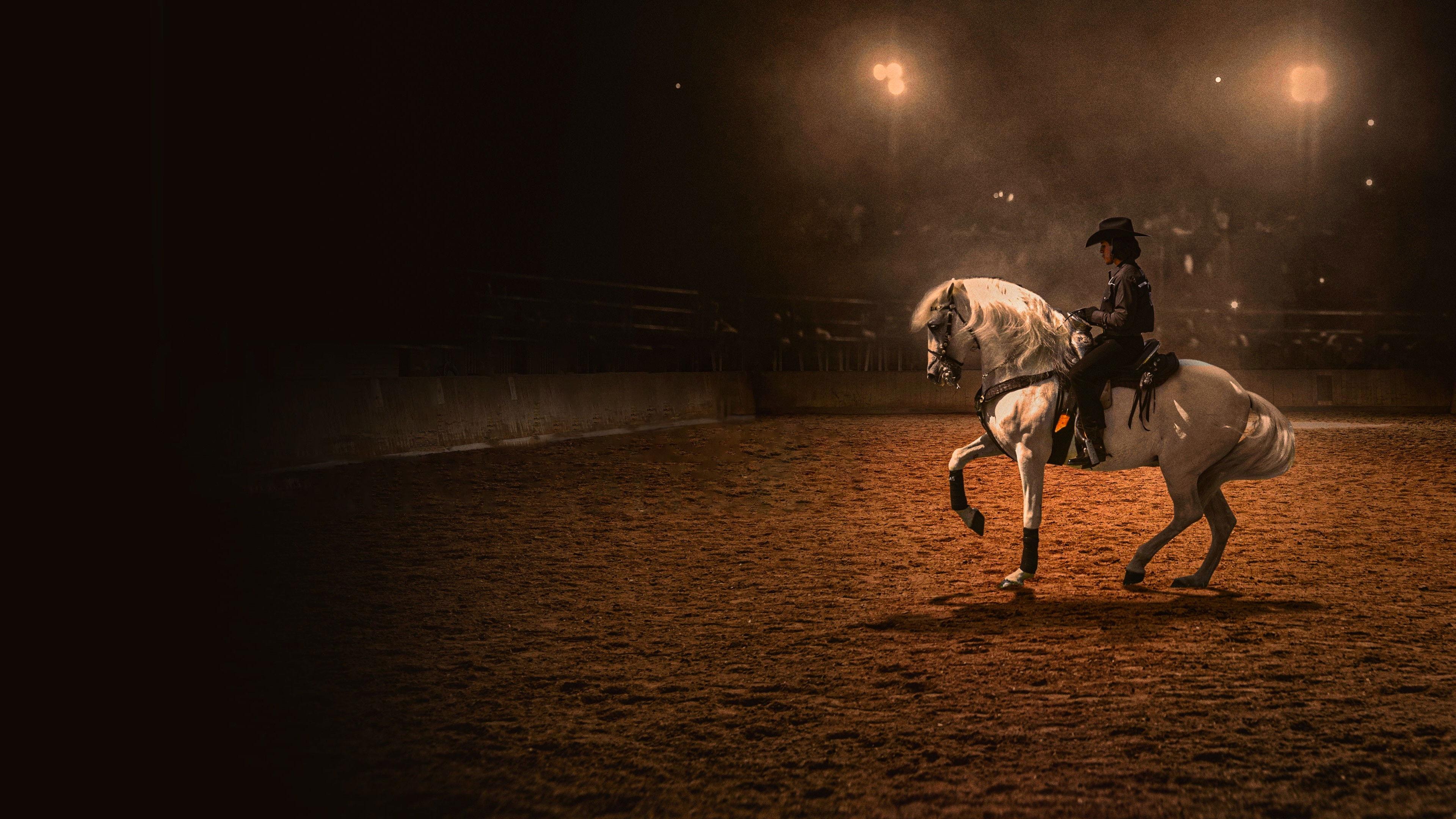 Centurion: The Dancing Stallion 2023 movie scene