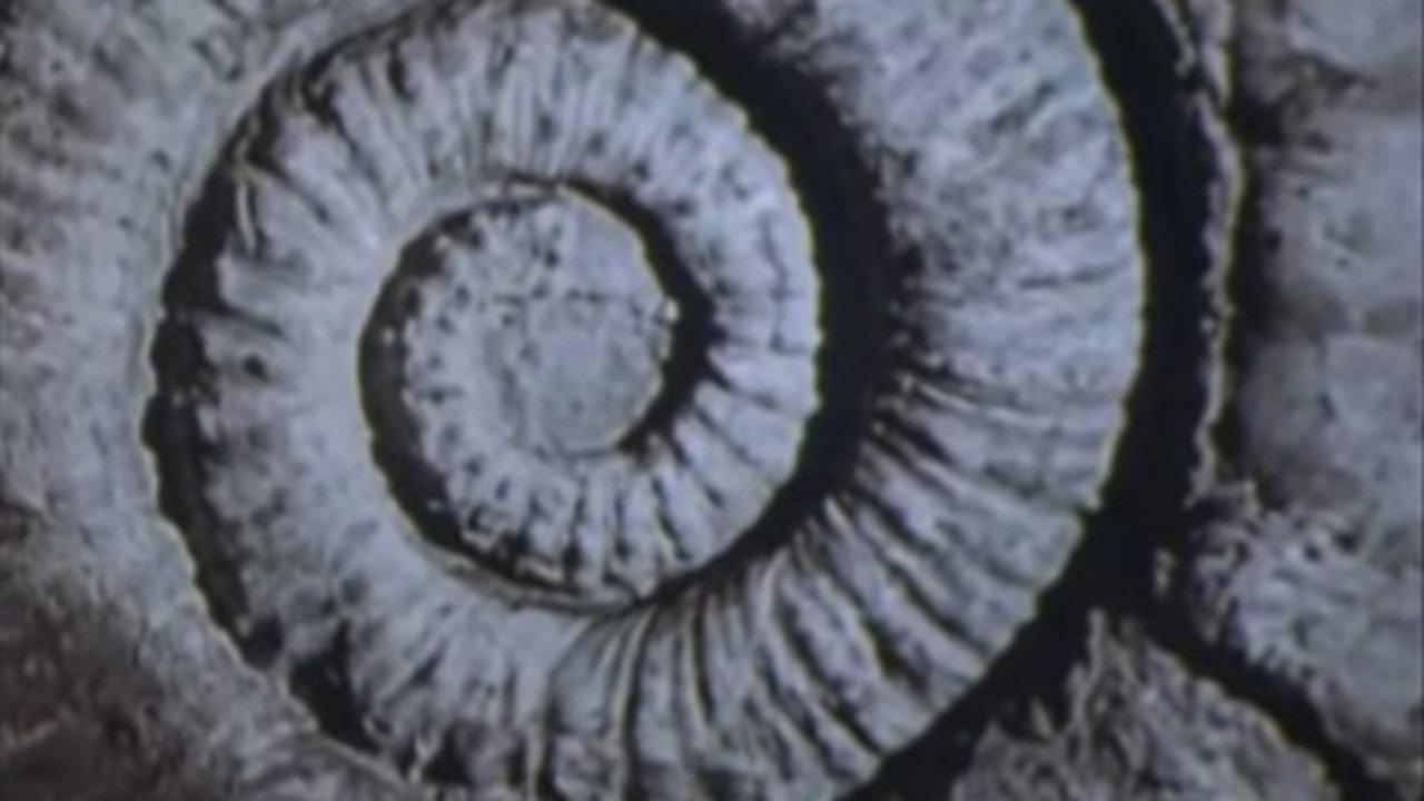 Vernadsky's Law 1983 movie scene