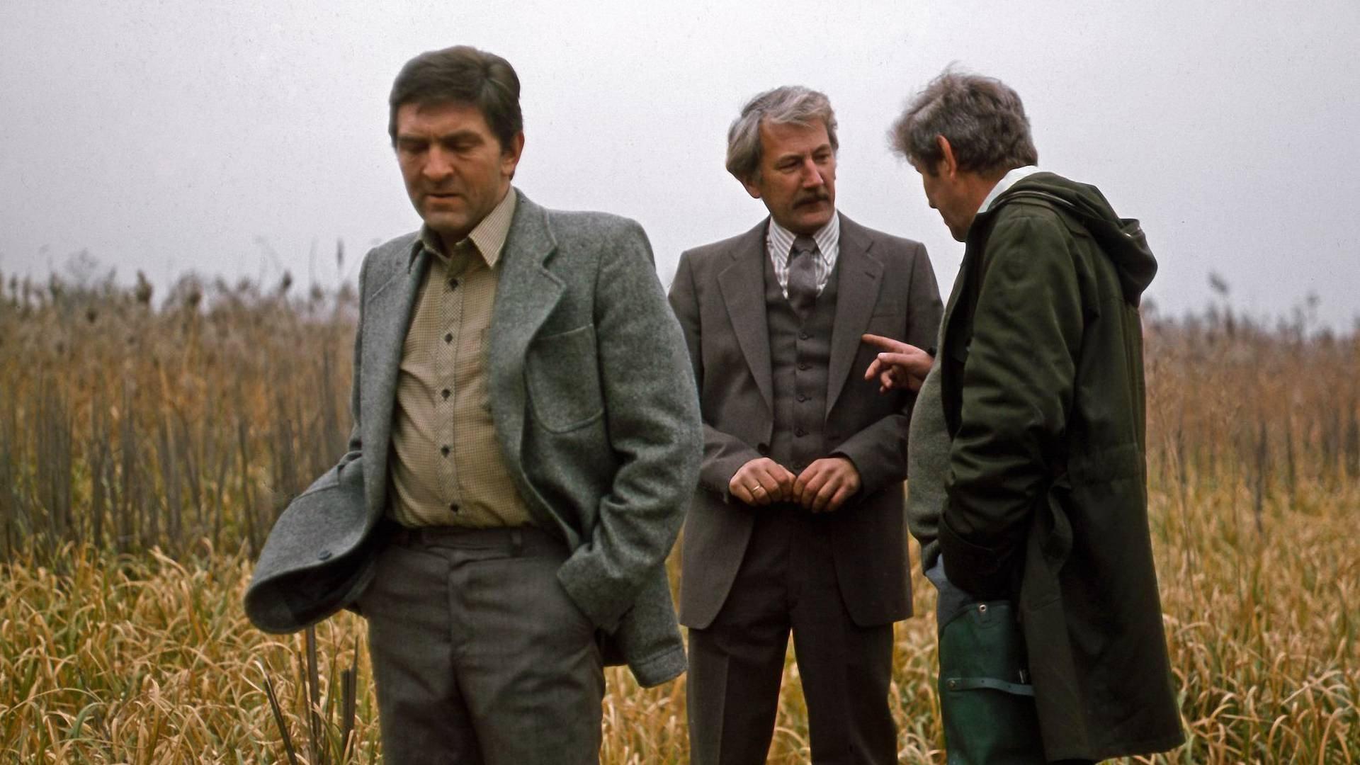 „Anna” i wampir 1981 movie scene