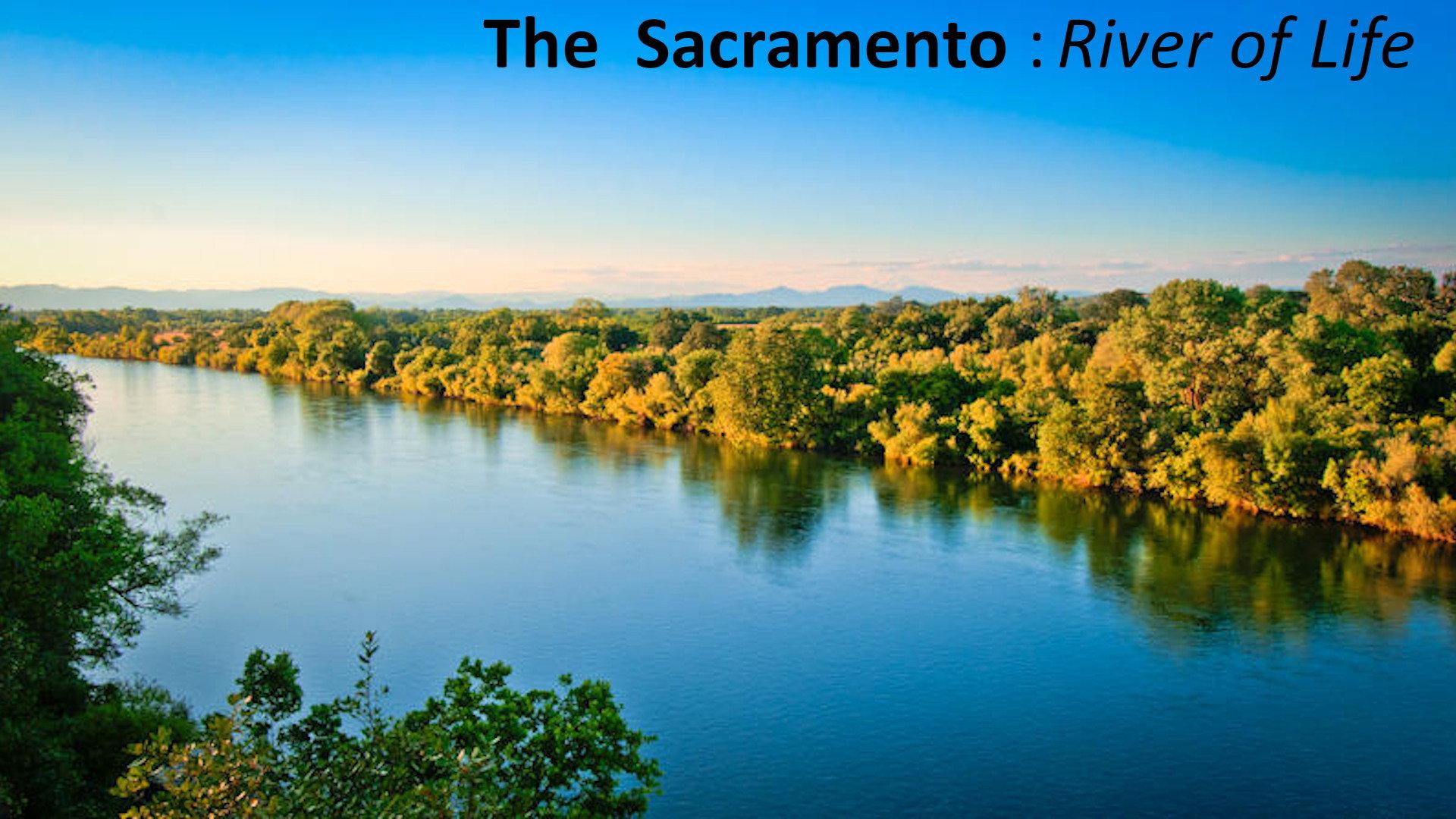 The Sacramento River of Life 2005 movie scene