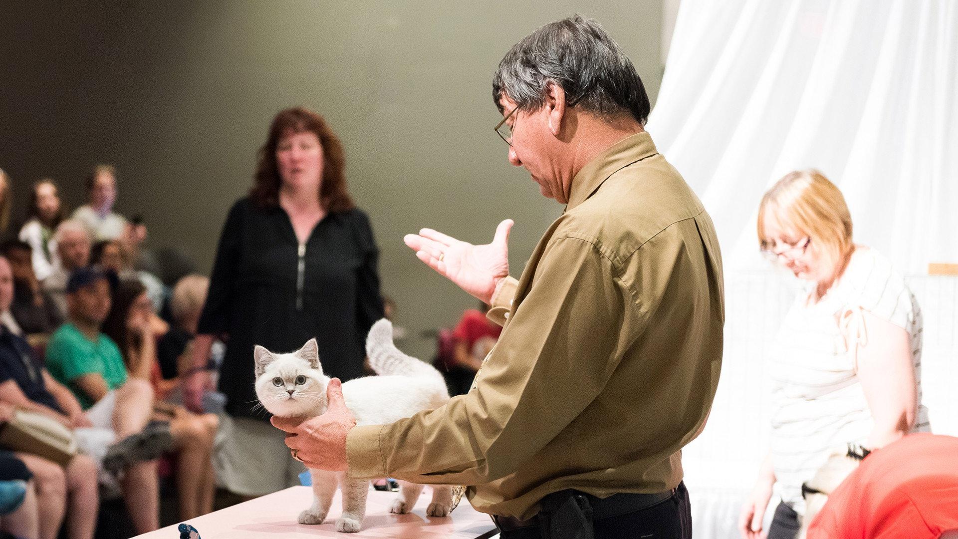 Catwalk: Tales from the Catshow Circuit 2018 movie scene