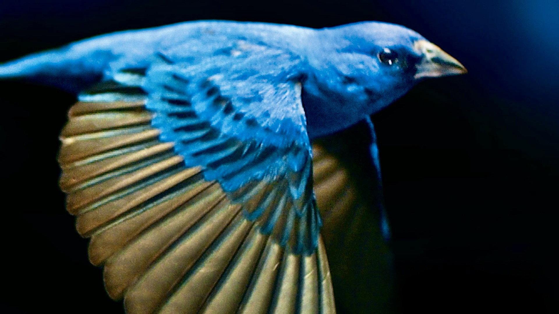 The Messenger 2015 movie scene
