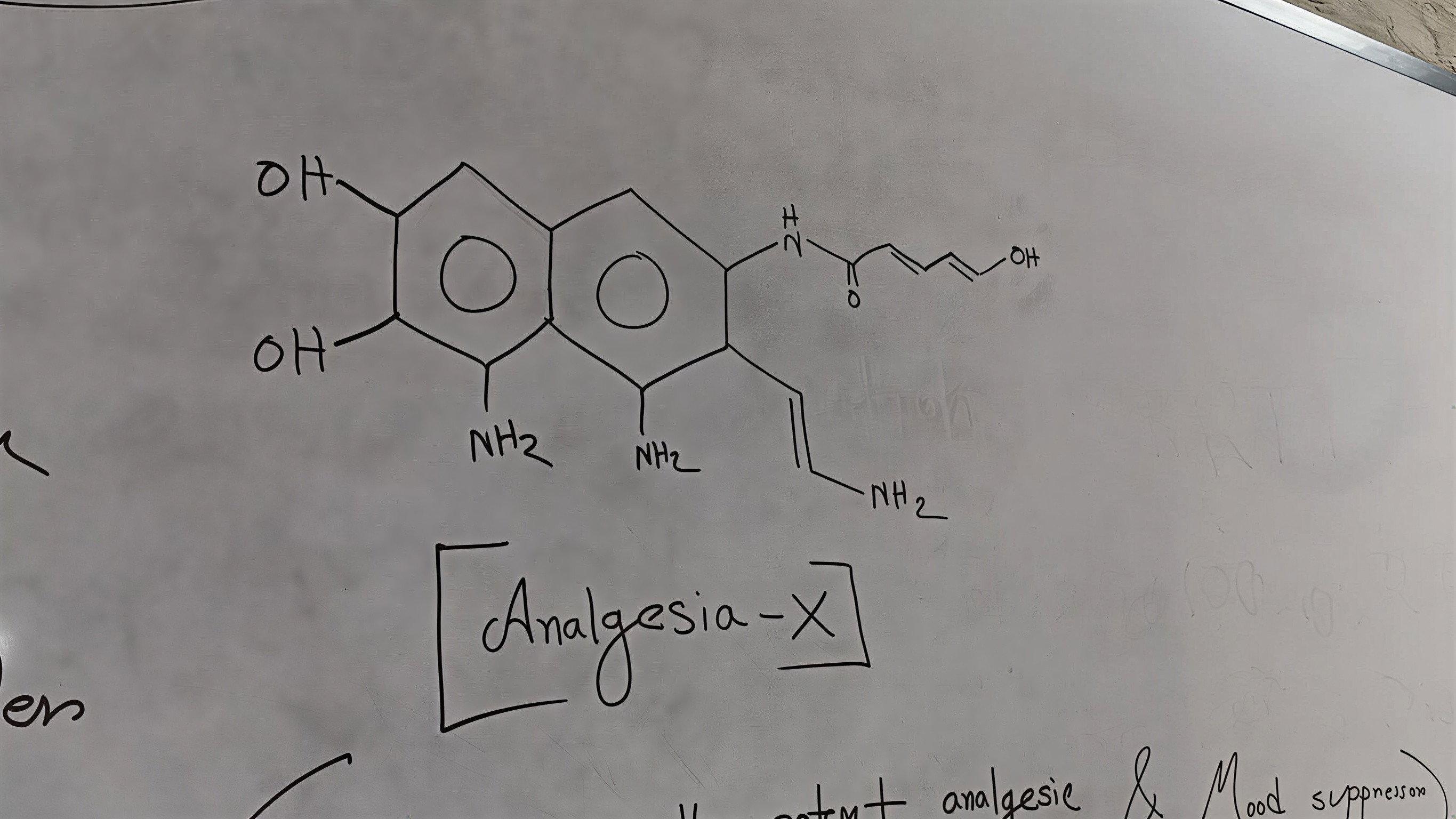 Analgesia-X 2026 movie scene