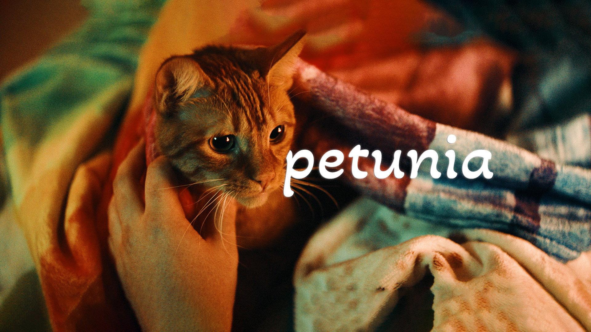 Petunia 2024 movie scene