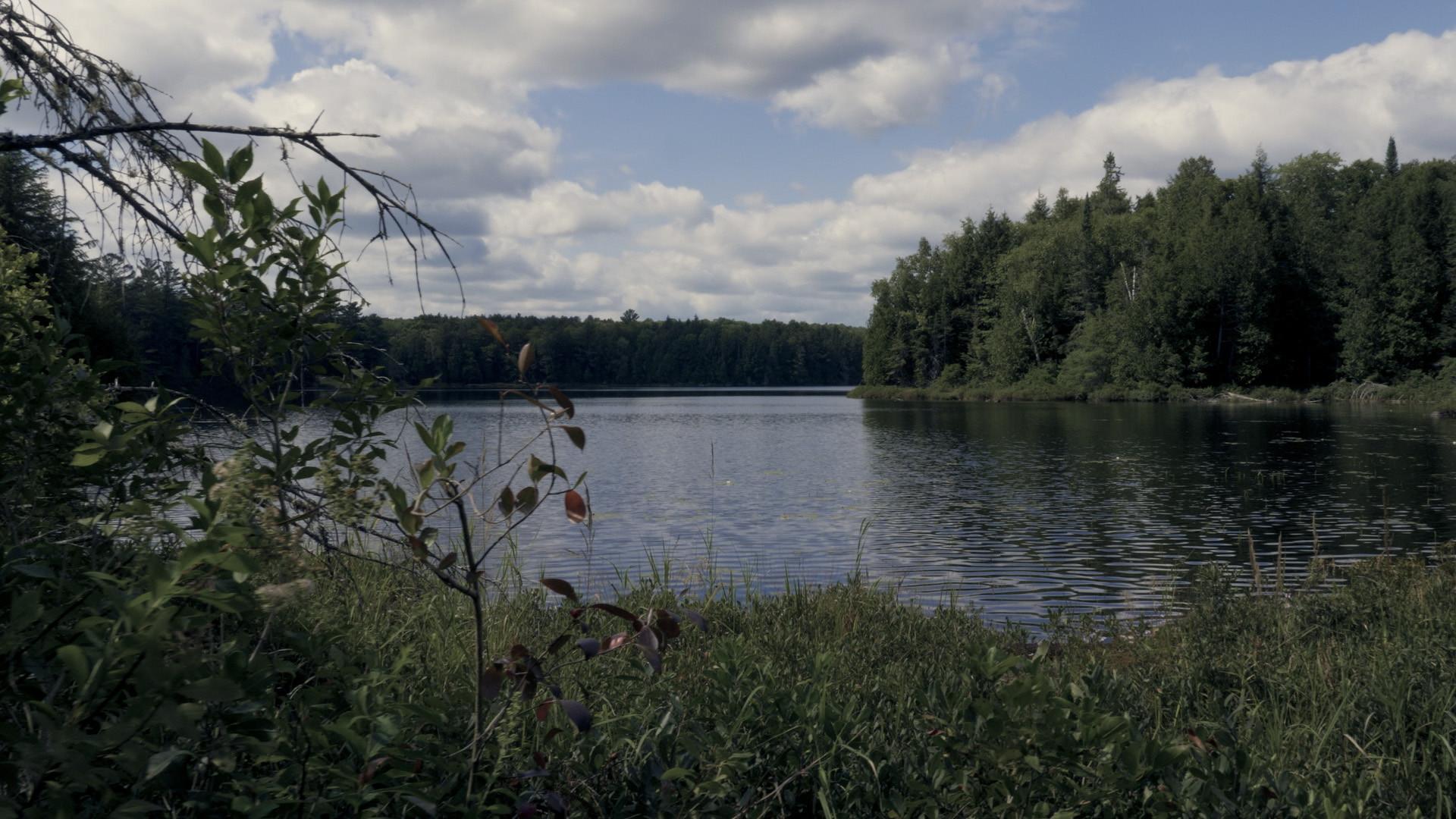 Finding Limberlost  movie scene