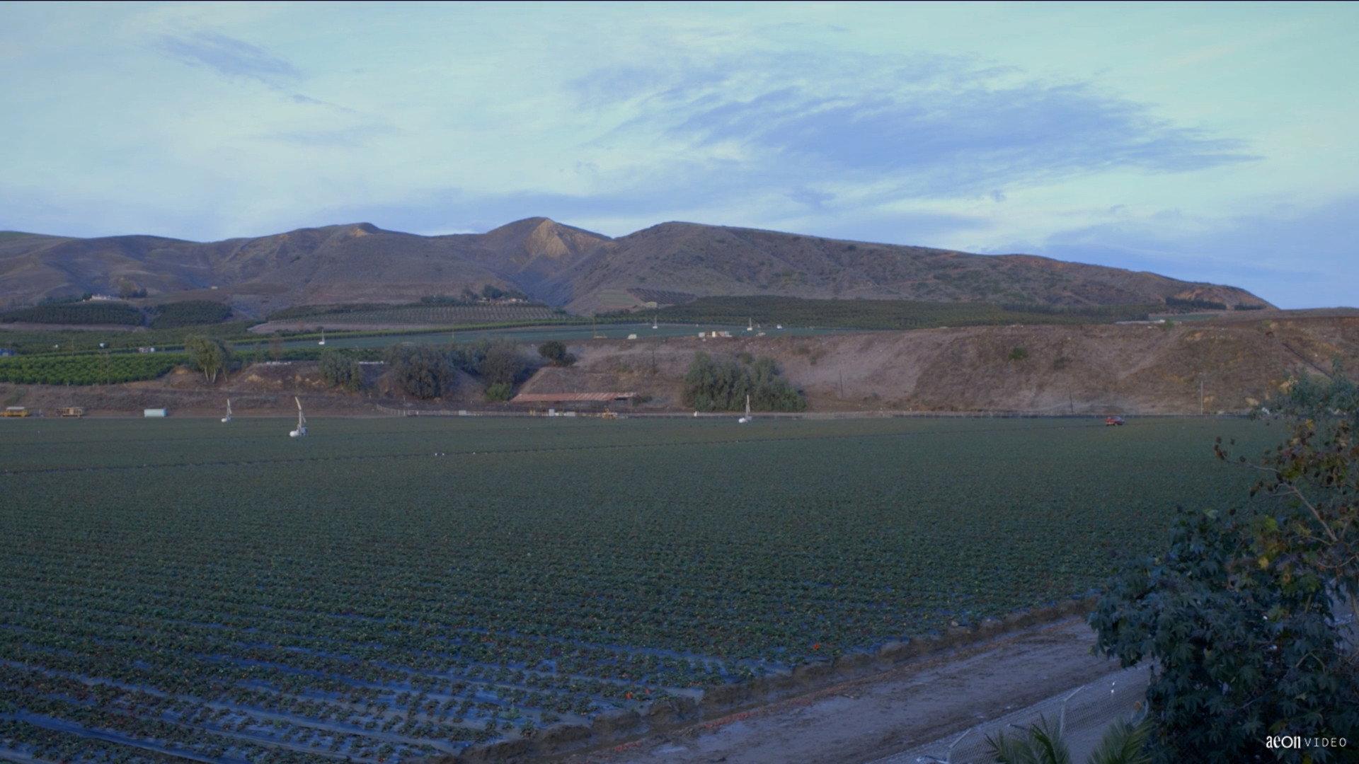 Field Song 2017 movie scene
