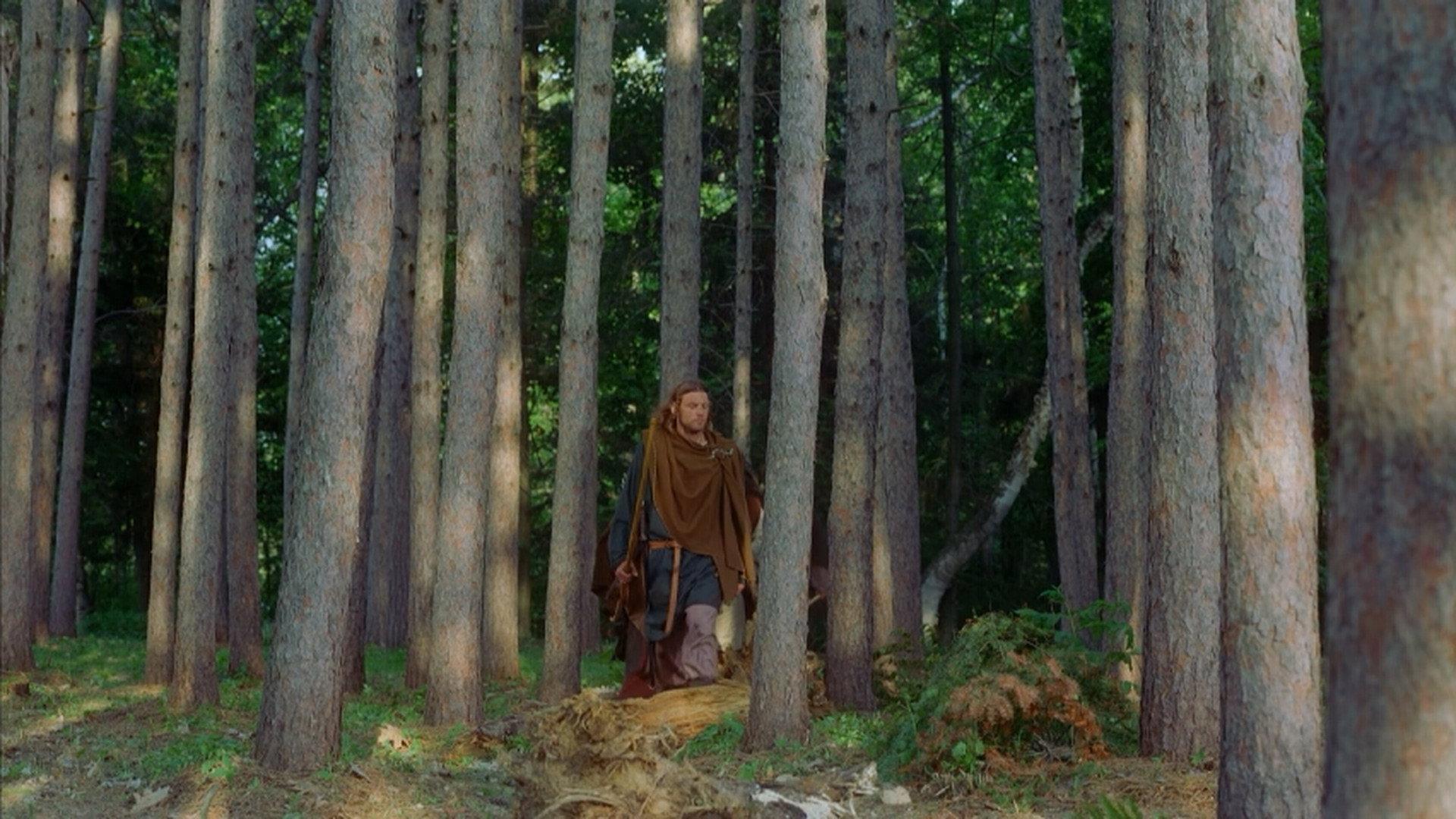 Vikings: Journey to New Worlds 2004 movie scene