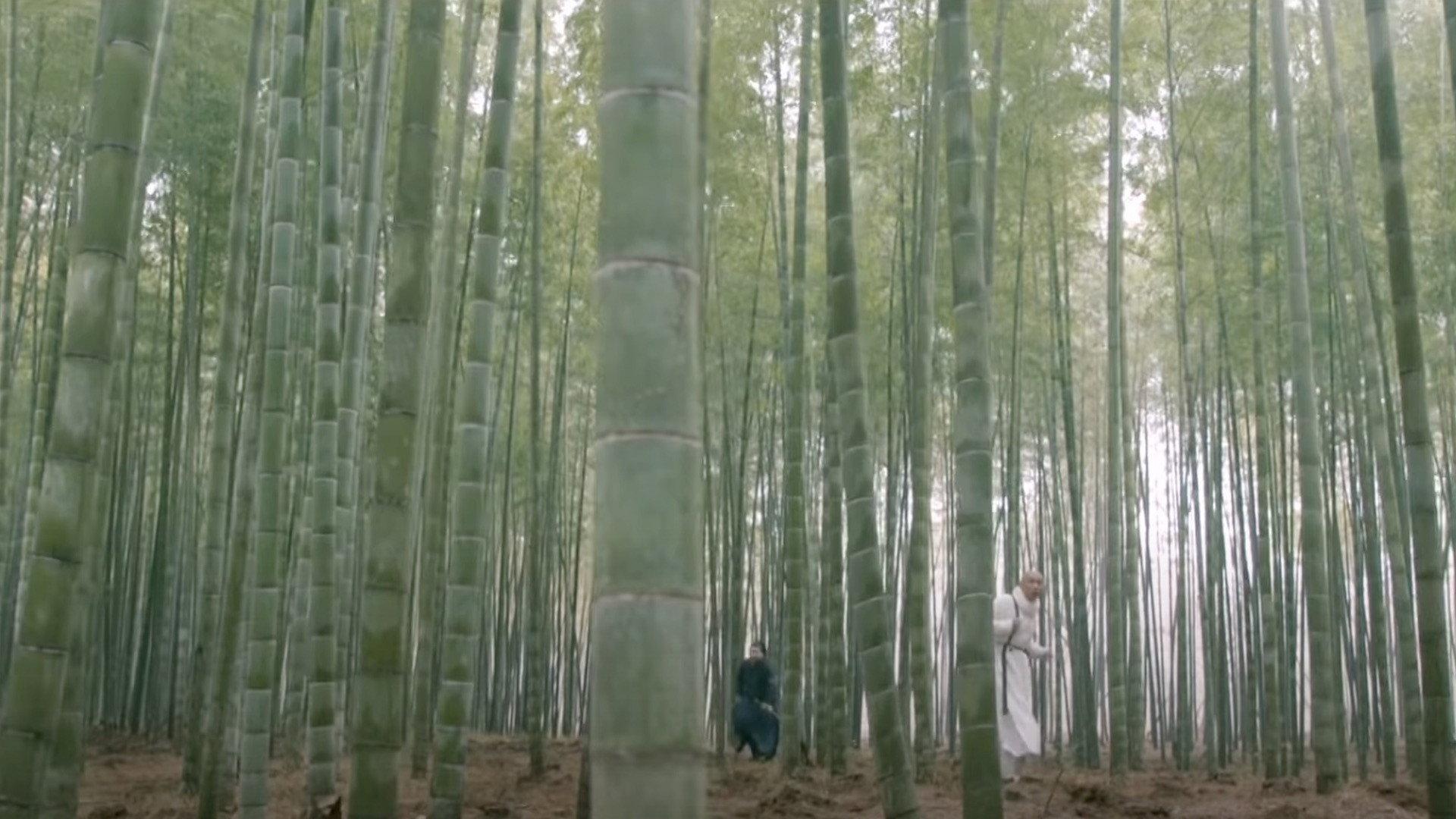Kungfu Killer 2019 movie scene