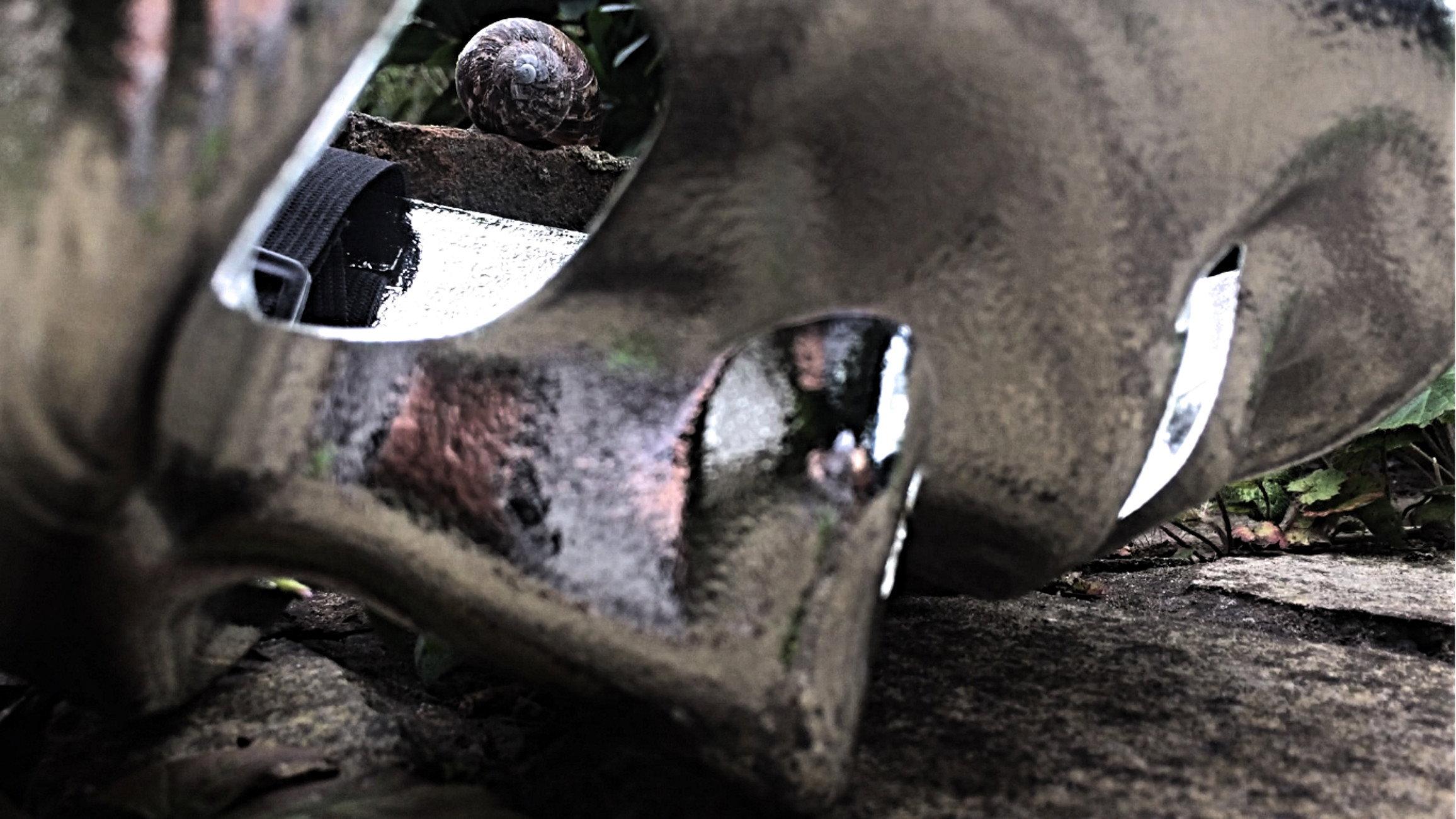 Gastropod 2017 movie scene