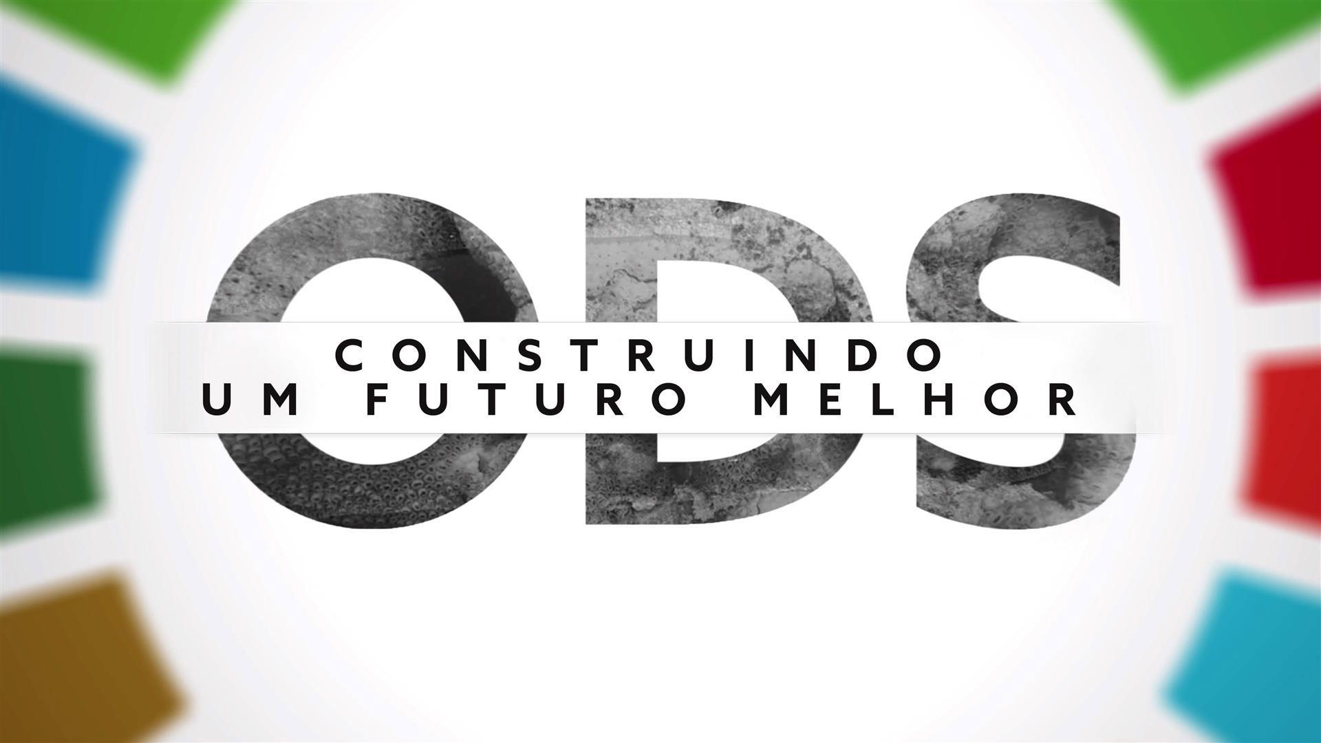 ODS - Construindo um Futuro Melhor 2013 movie scene