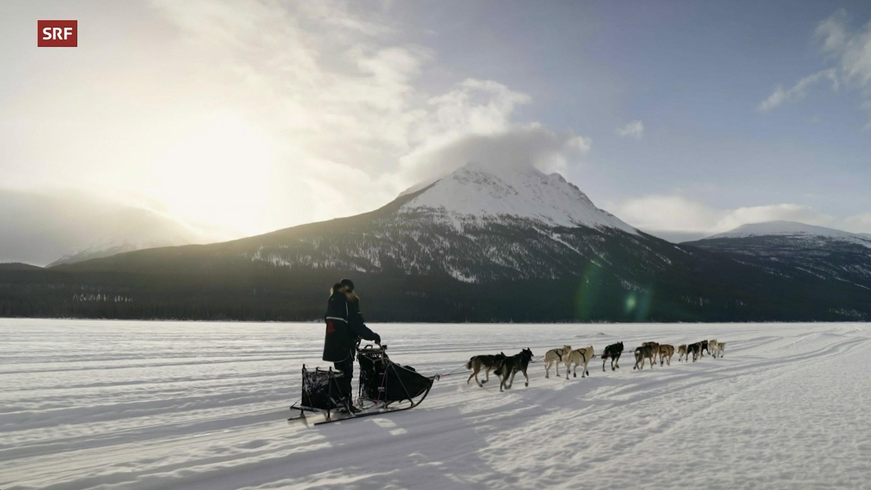 Musher, l'appel de l'Alaska 2023 movie scene
