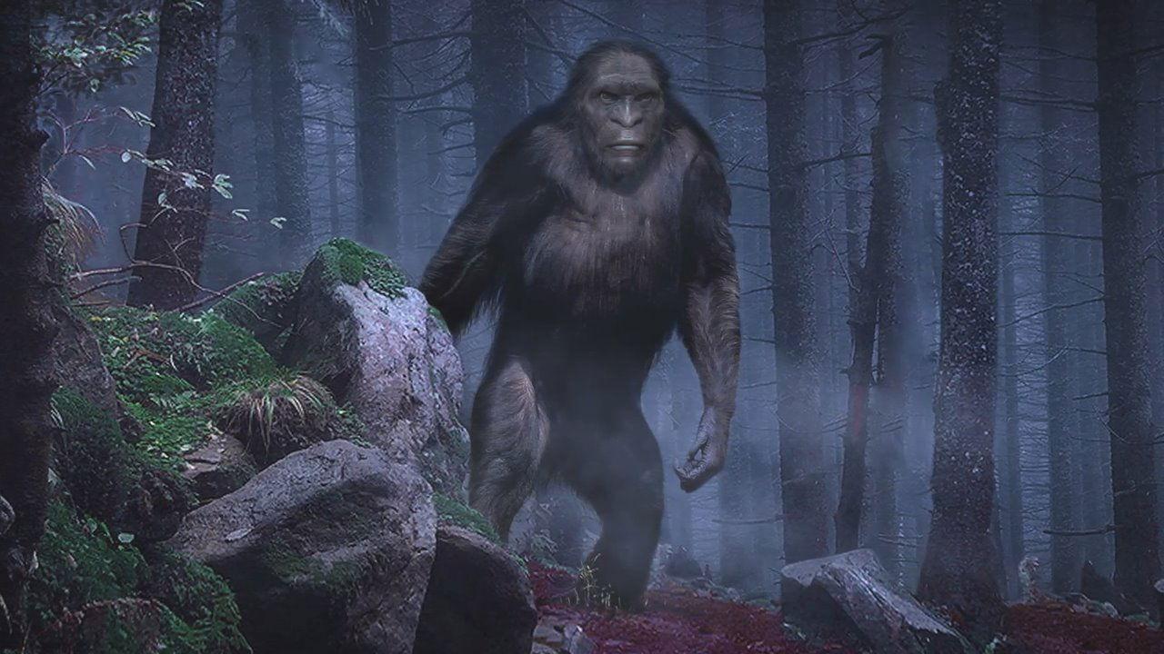 On the Trail of Bigfoot: The Discovery 2021 movie scene