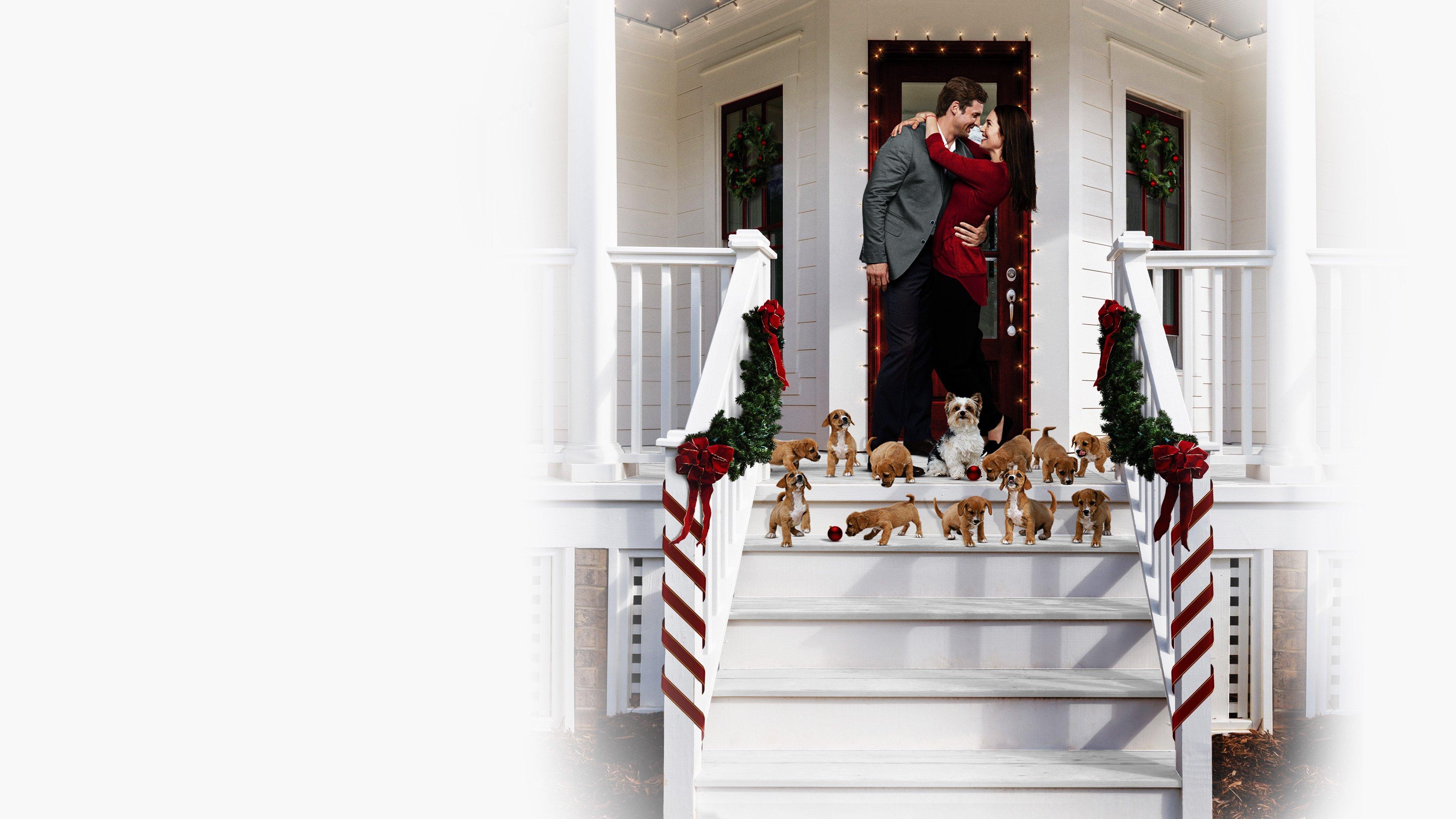 12 Pups of Christmas 2019 movie scene