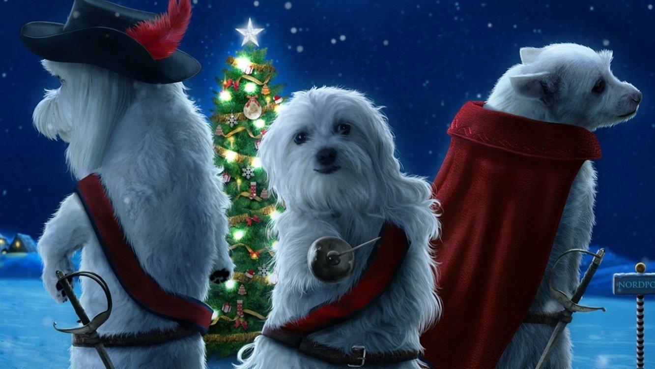 The Three Dogateers 2014 movie scene
