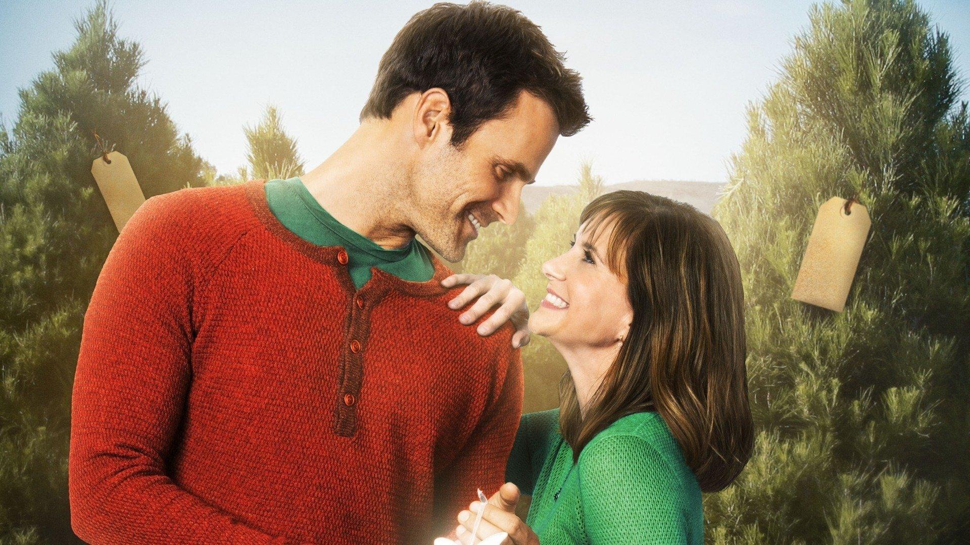 The Christmas Ornament 2013 movie scene