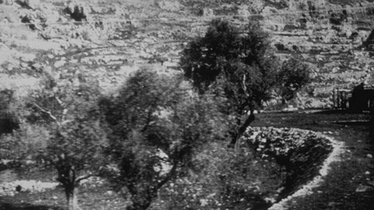 Jaffa : panorama en chemin de fer 1897 movie scene