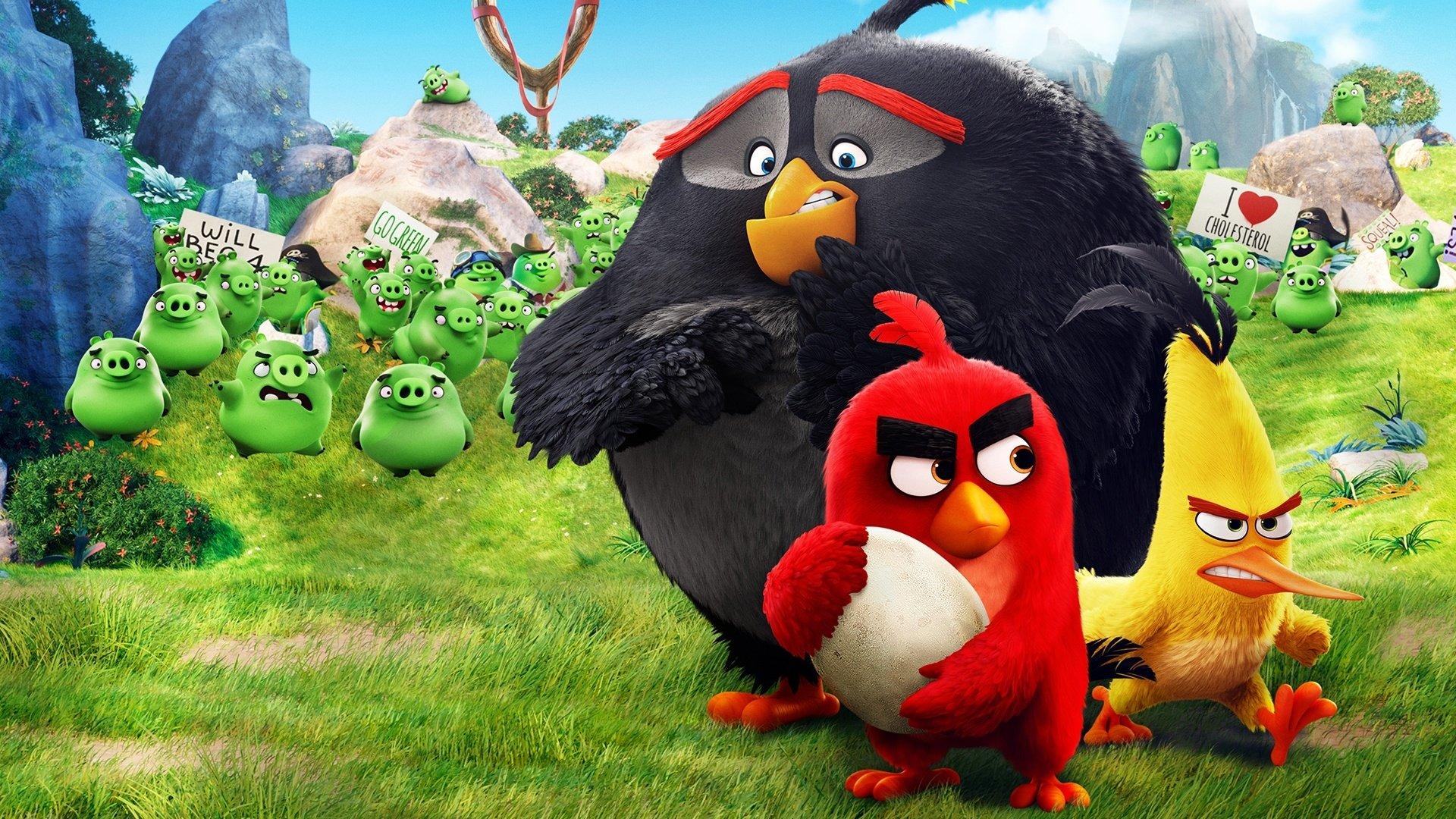 The Angry Birds Movie 2016 movie scene