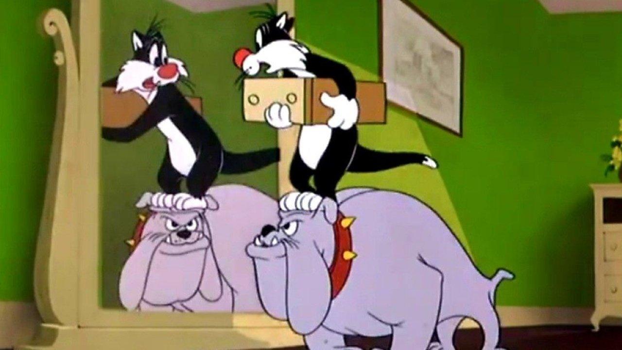 Room and Bird 1951 movie scene