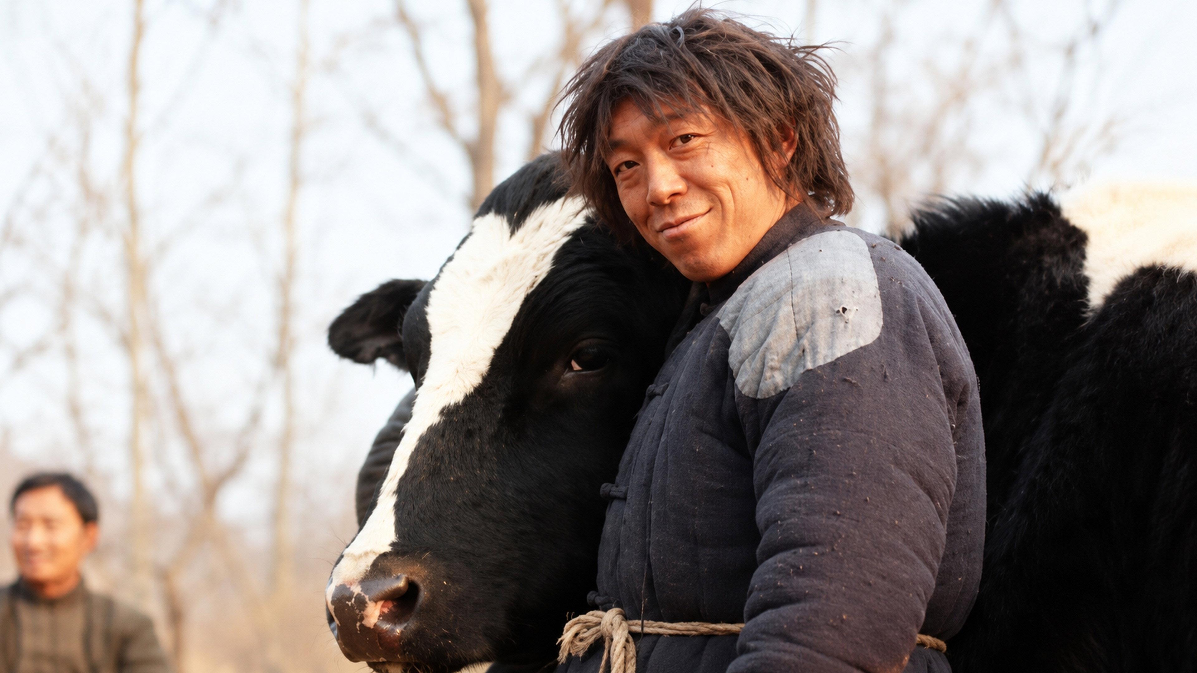 Cow 2009 movie scene