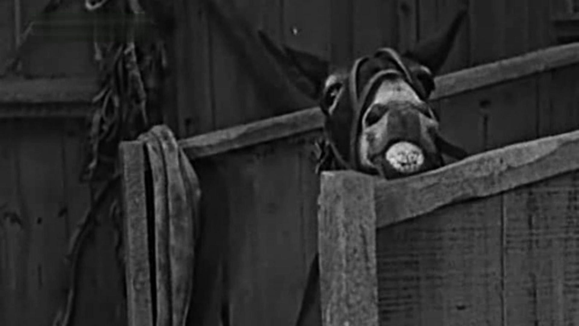 The Champeen 1923 movie scene
