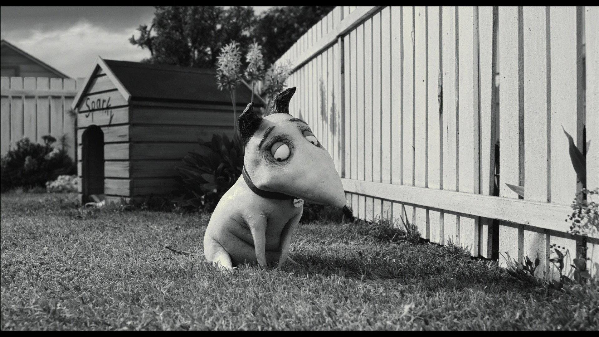 Miniatures in Motion: Bringing Frankenweenie to Life 2012 movie scene