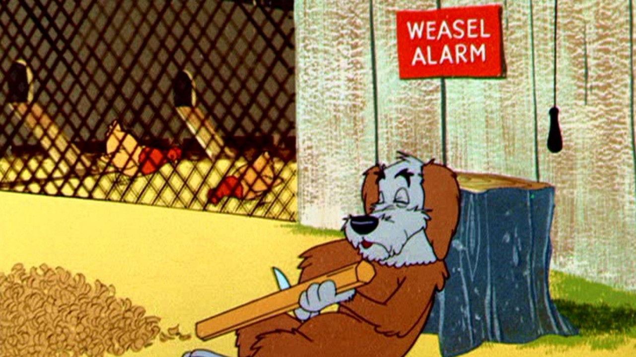 Weasel Stop 1956 movie scene