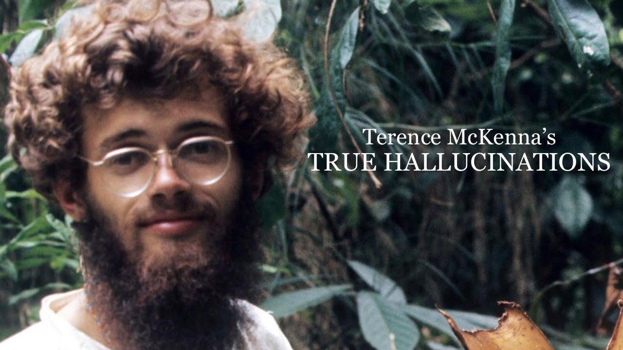 Terence McKenna's True Hallucinations 2016 movie scene