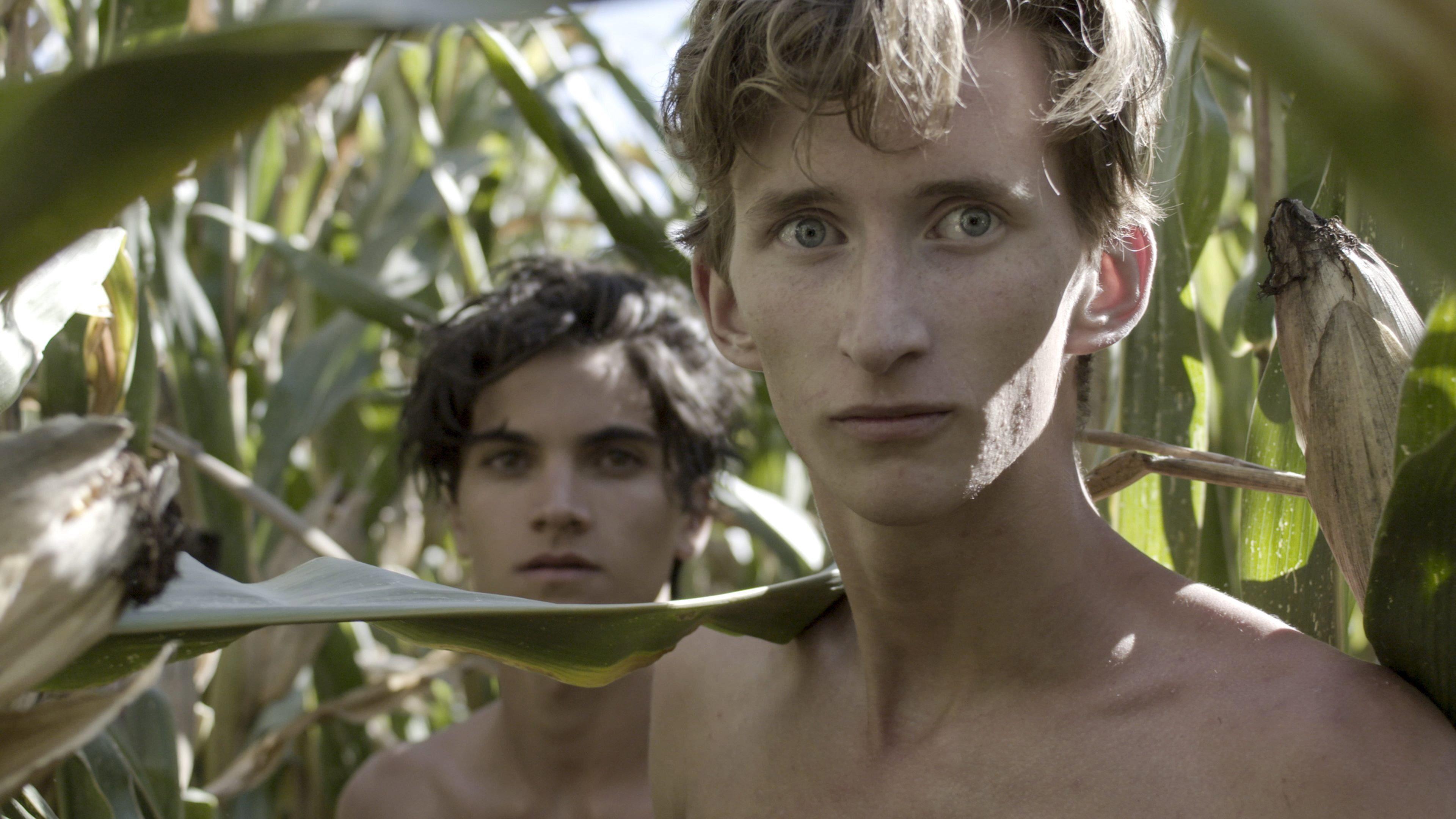 In a Future April: The Young Pasolini 2020 movie scene