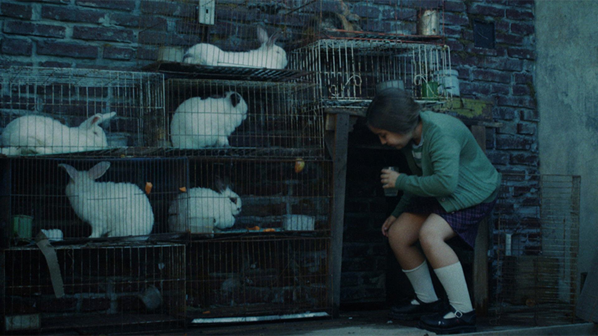 The Rabbits' House 2020 movie scene