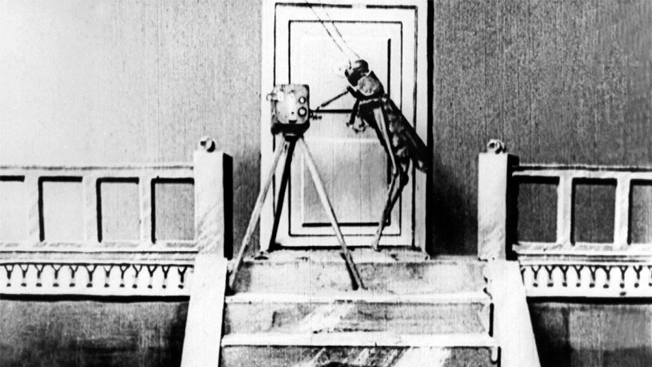 The Cameraman's Revenge 1912 movie scene