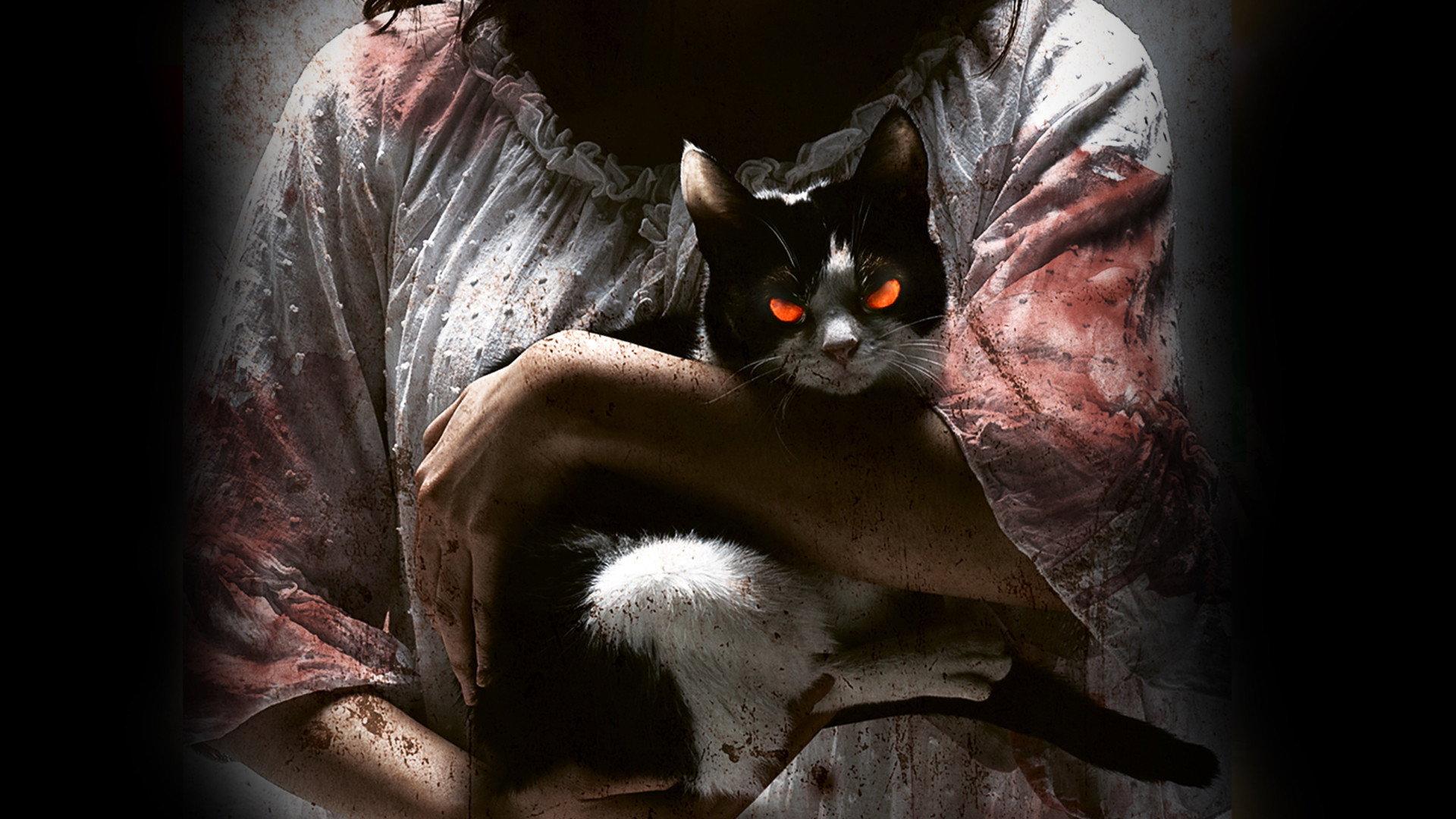 The Cat 2011 movie scene