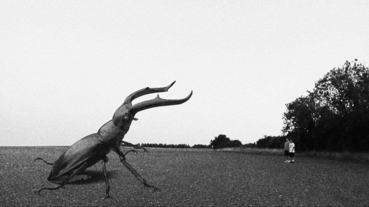 Unto Insecta 2024 movie scene