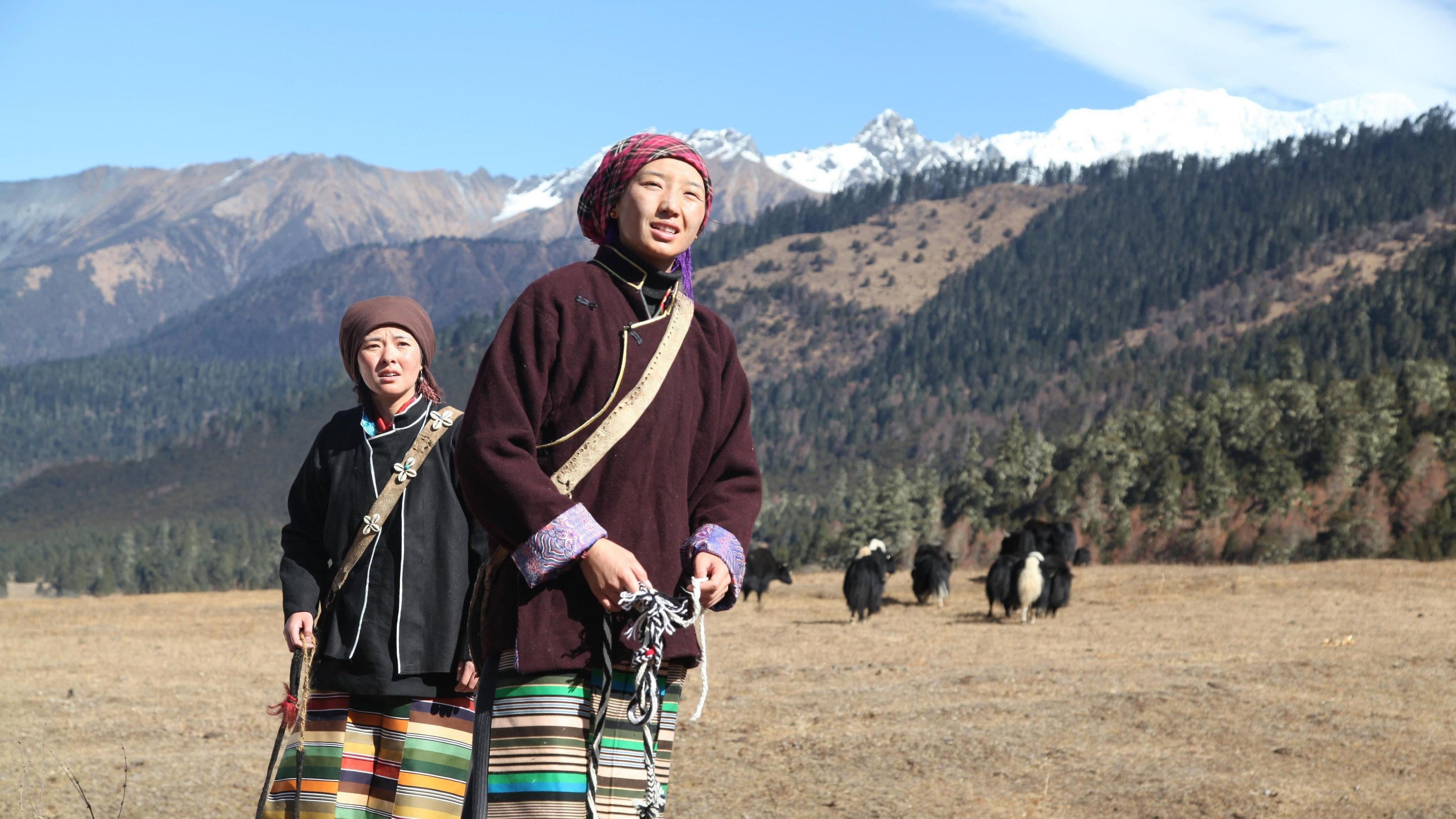 My Himalayas 2019 movie scene