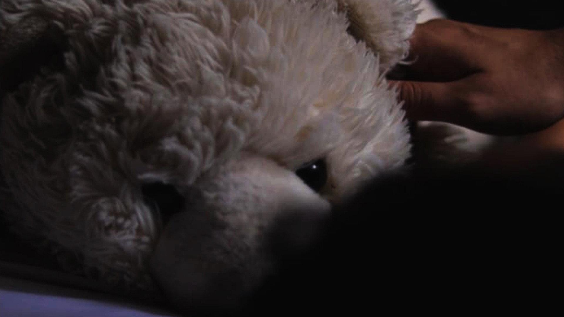 El Oso 2020 movie scene