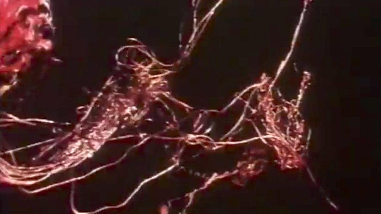 Anger 1990 movie scene