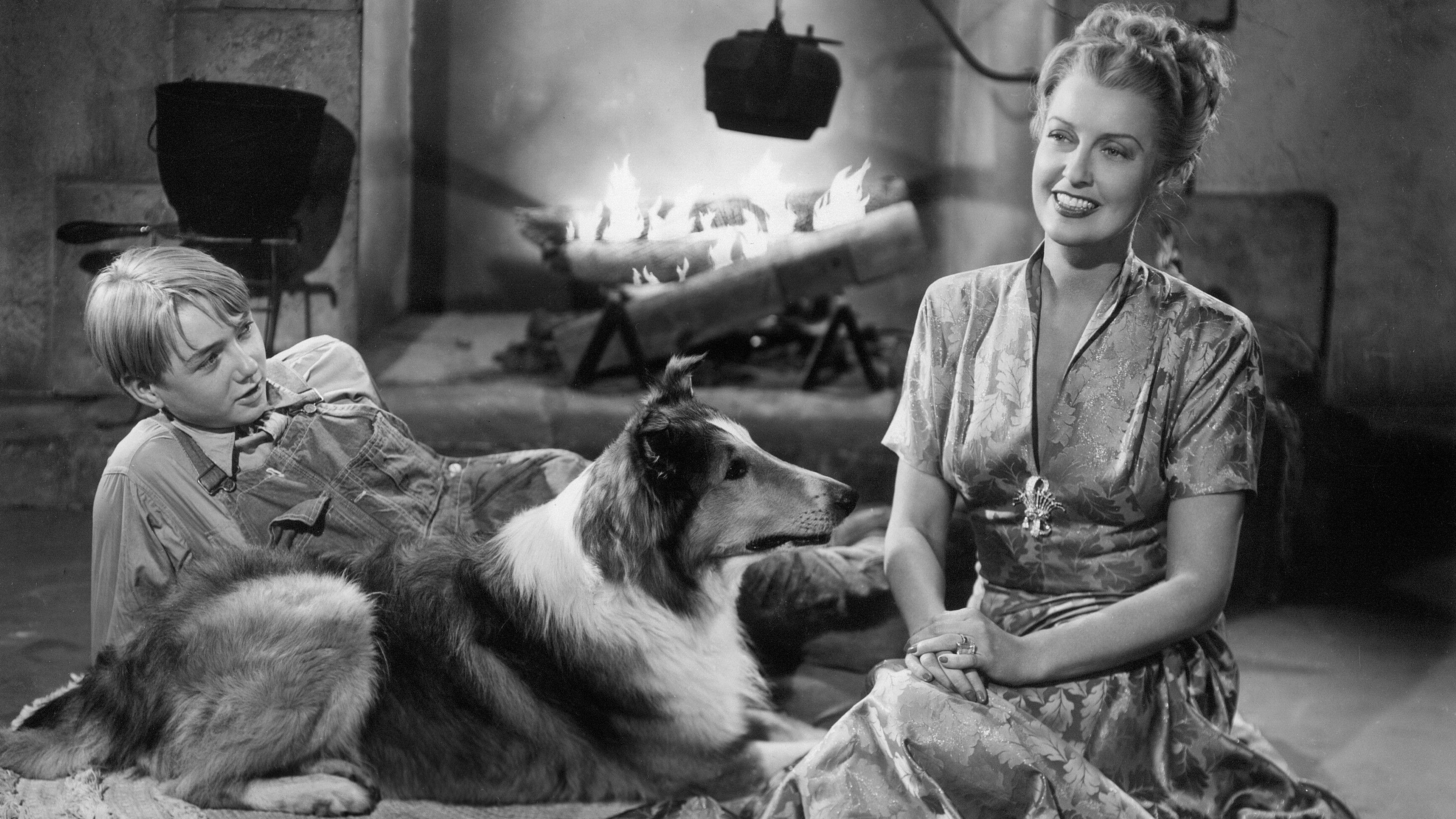 The Sun Comes Up 1949 movie scene