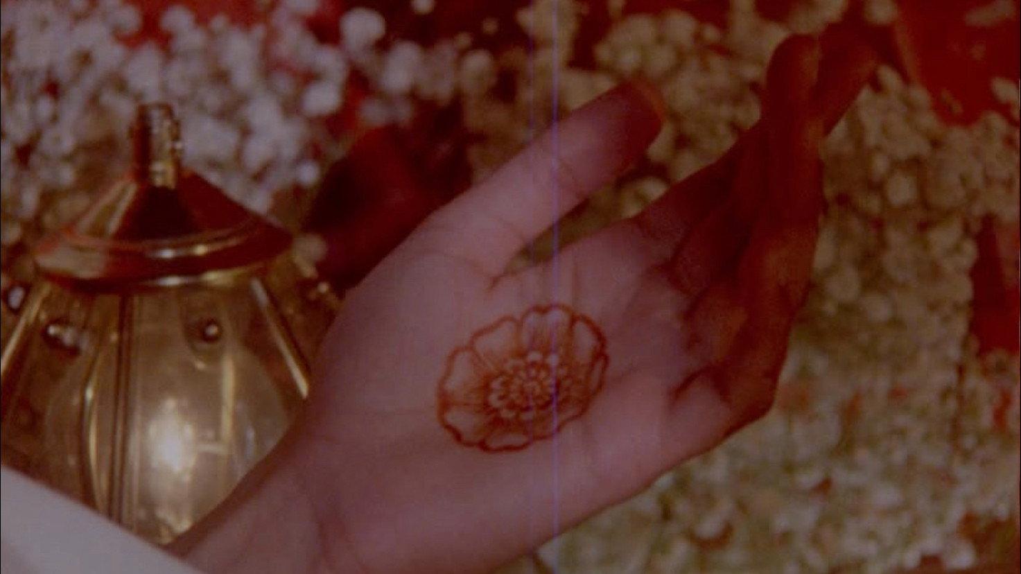 what does it feel like to live inside a pomegranate? 2026 movie scene