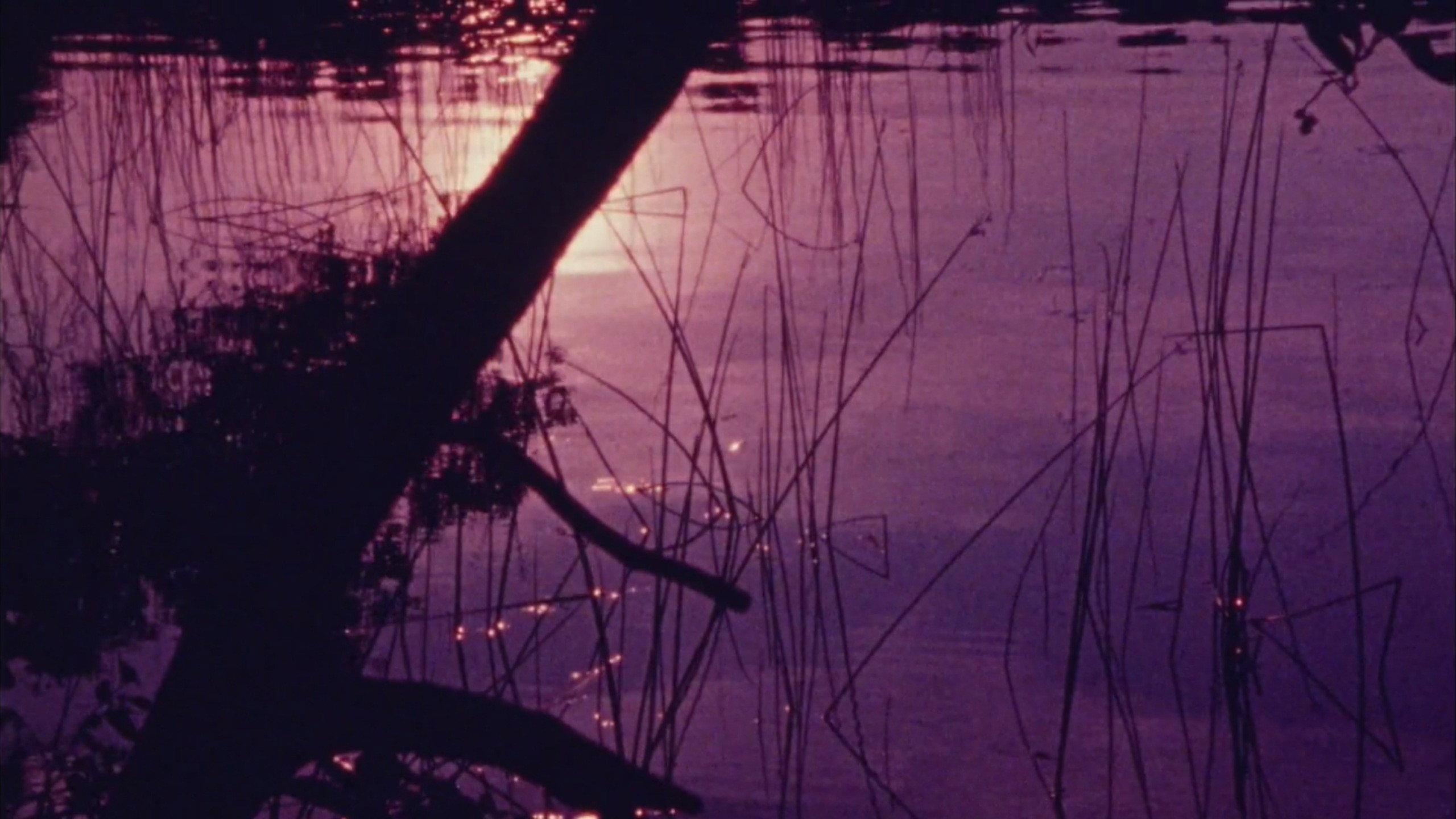 Isolation 1974 movie scene
